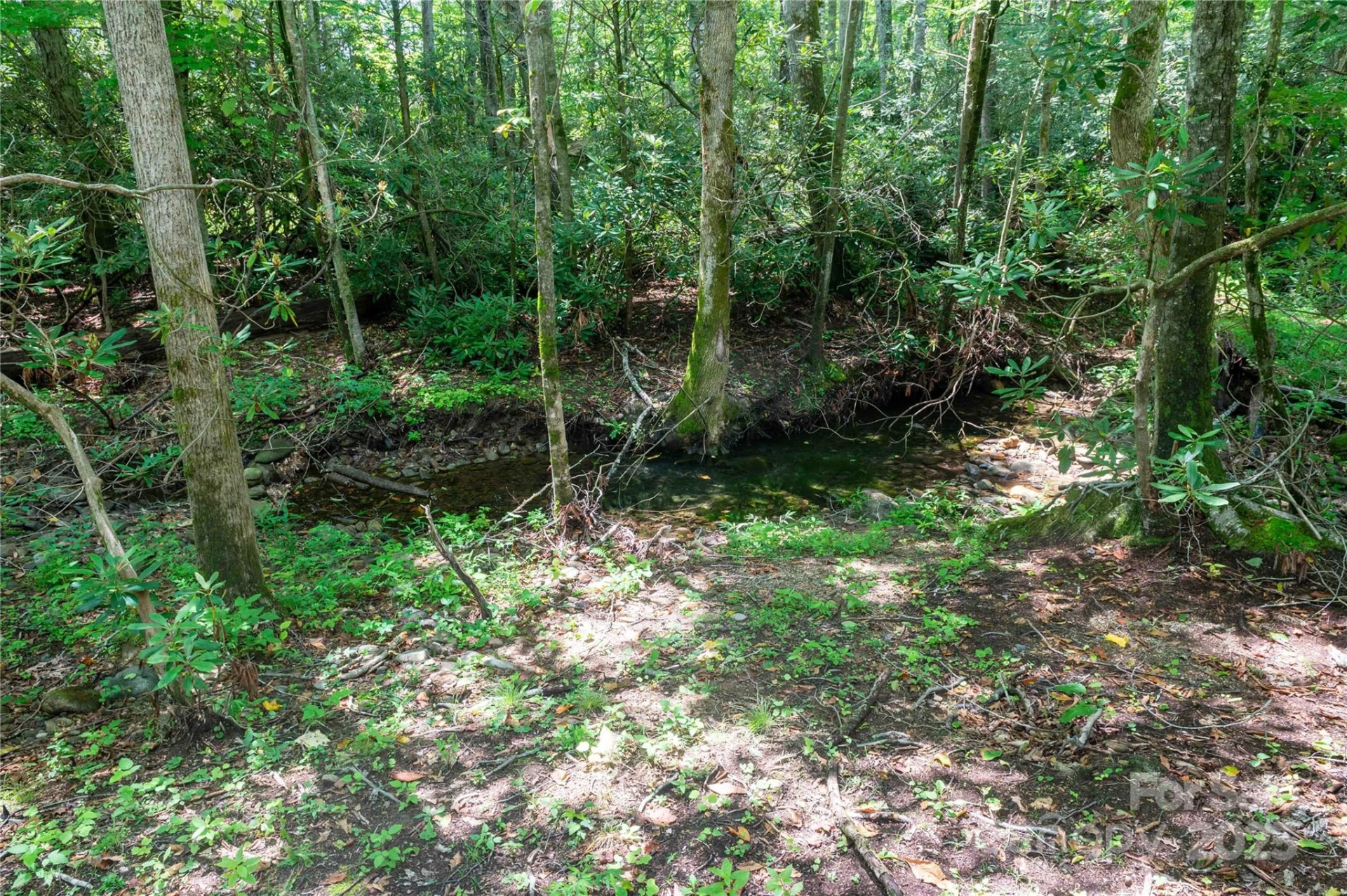 245 White Oak Creek Road - Photo 25