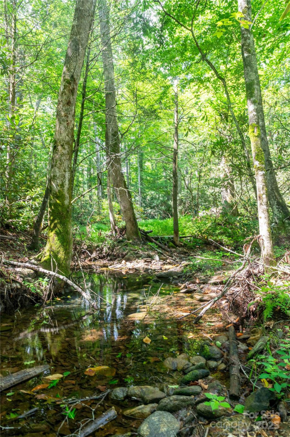 245 White Oak Creek Road - Photo 28