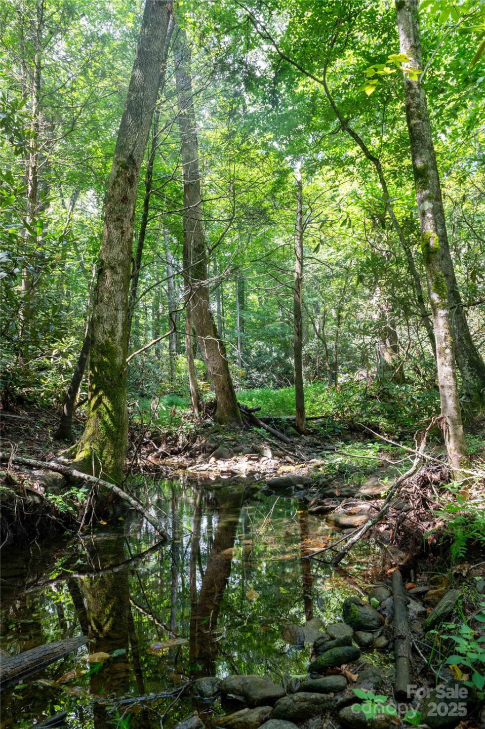 245 White Oak Creek Road - Photo 29