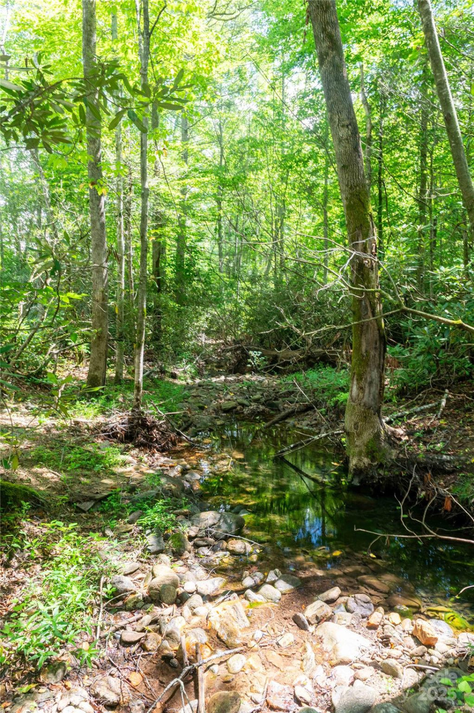 245 White Oak Creek Road - Photo 30