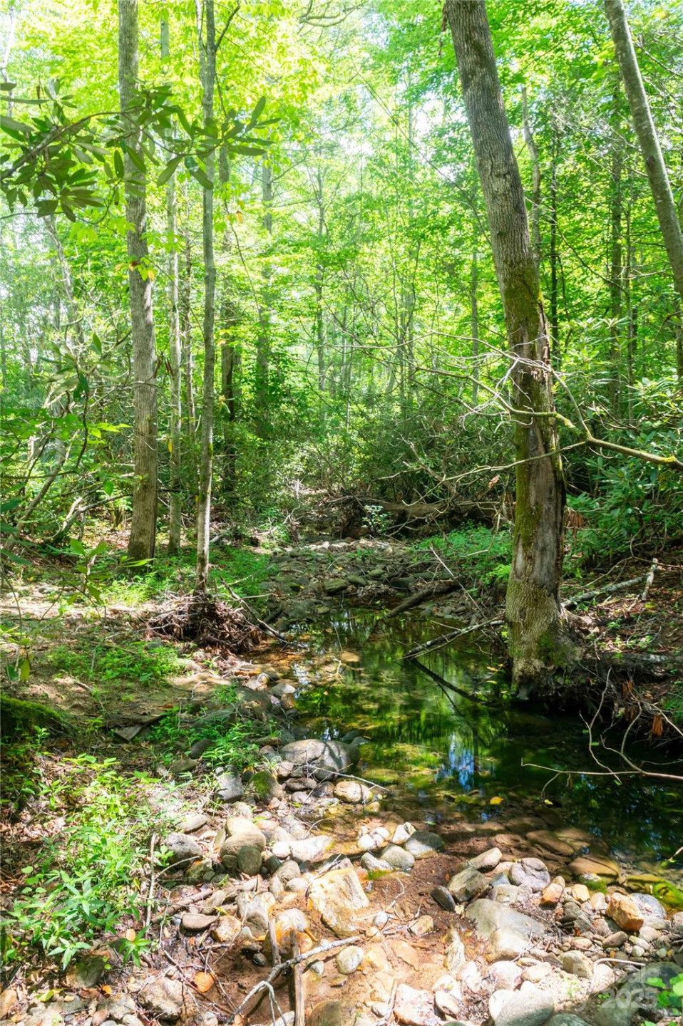 245 White Oak Creek Road - Photo 31