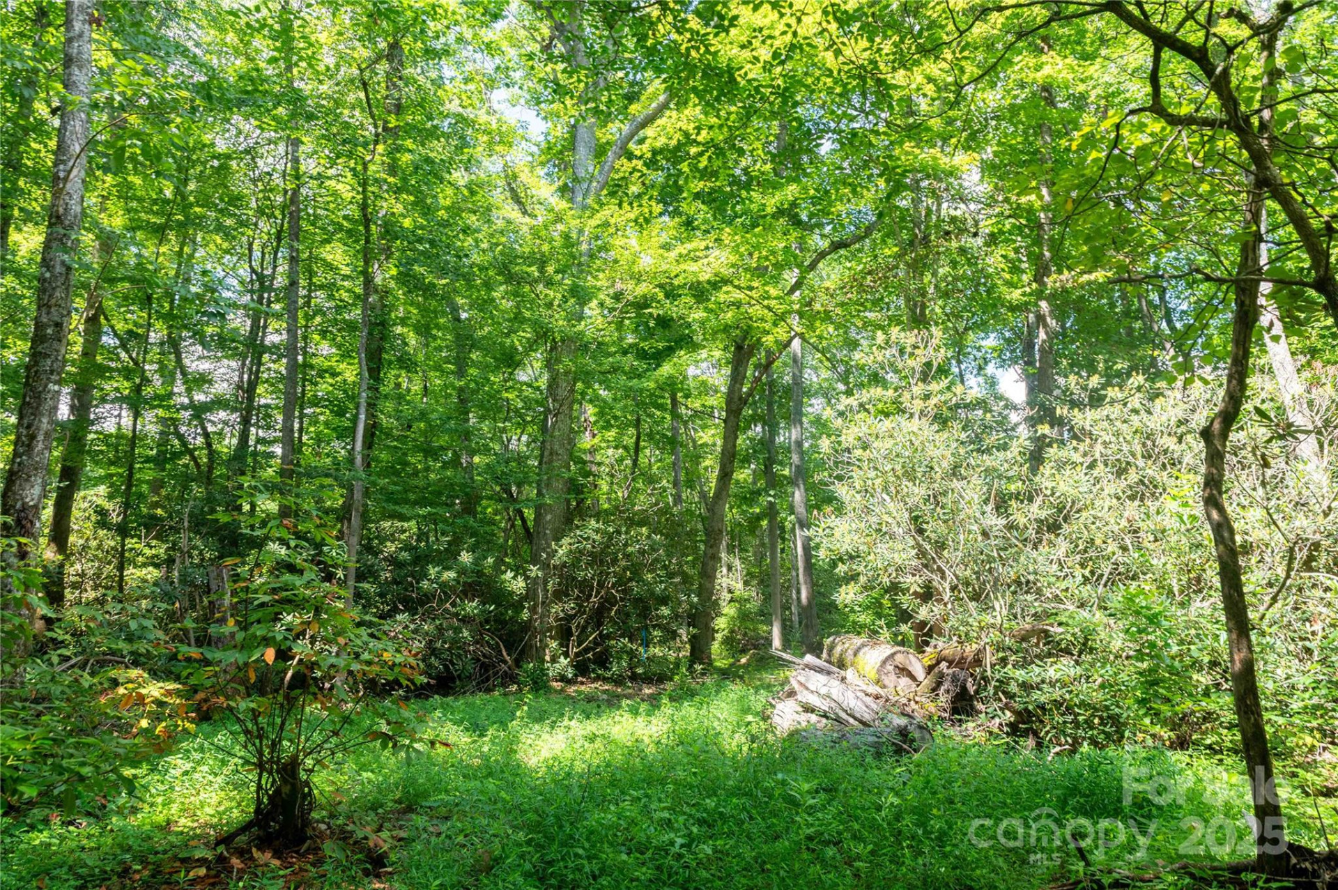 245 White Oak Creek Road - Photo 32