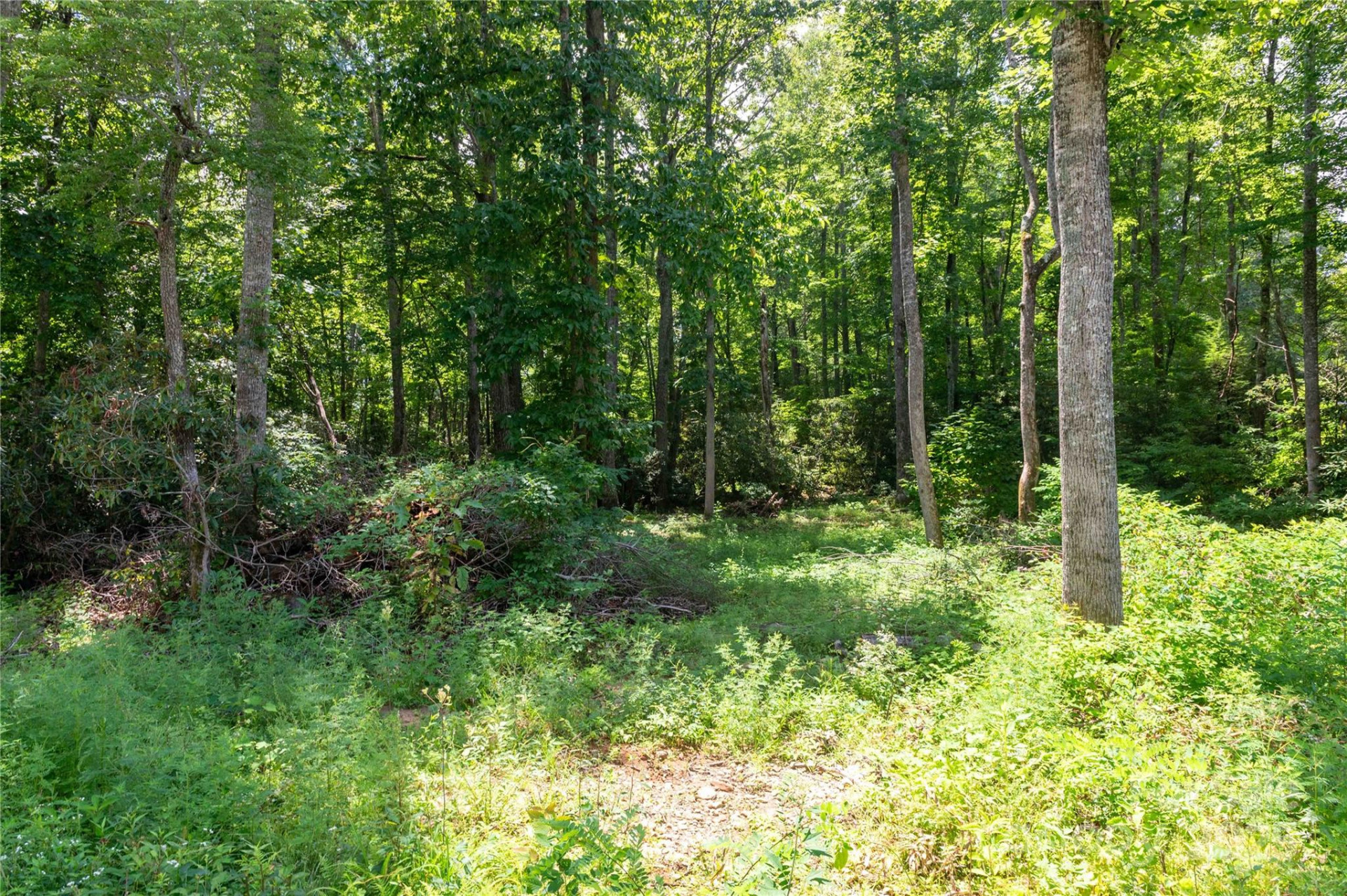 245 White Oak Creek Road - Photo 33