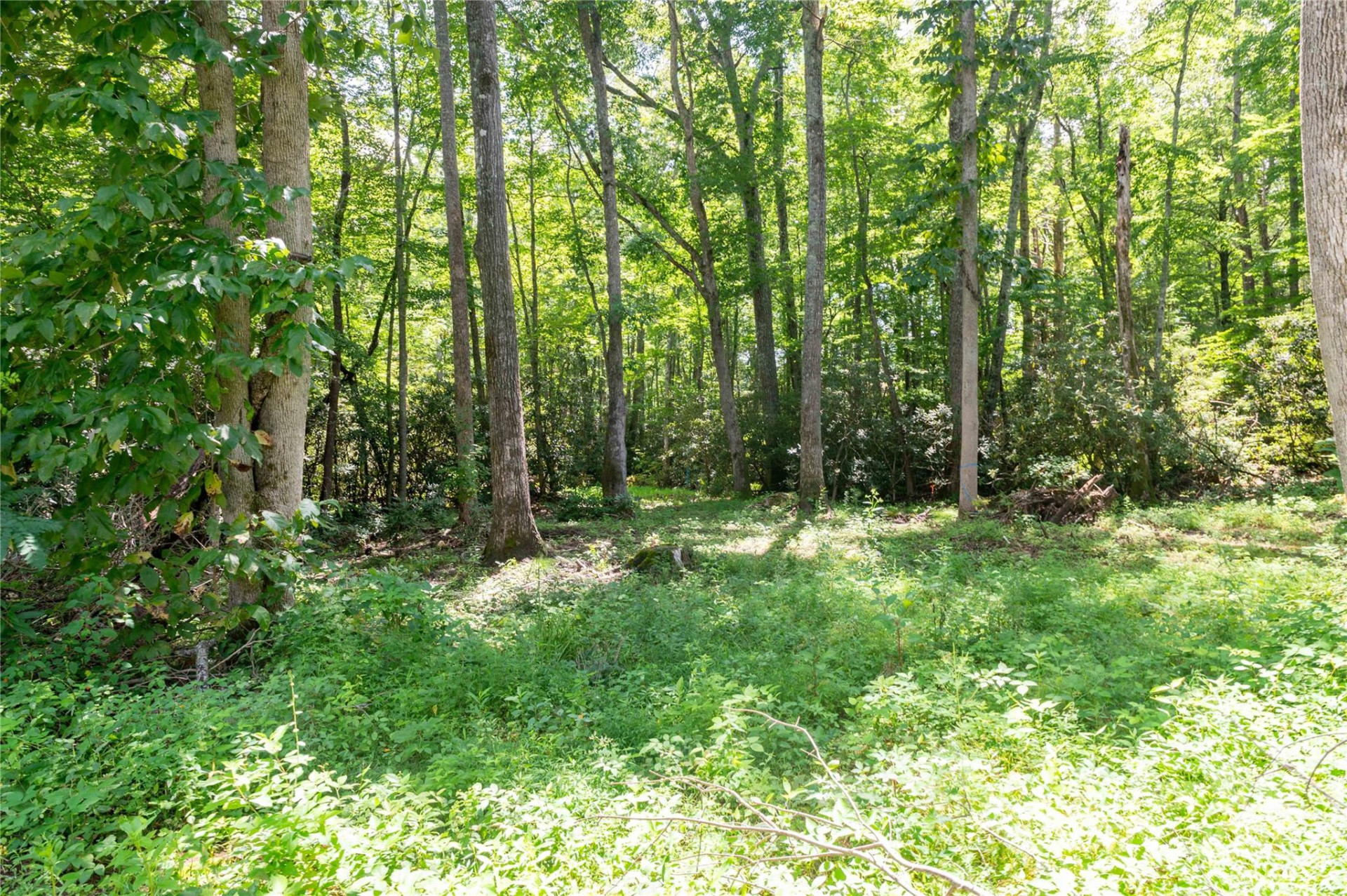 245 White Oak Creek Road - Photo 34