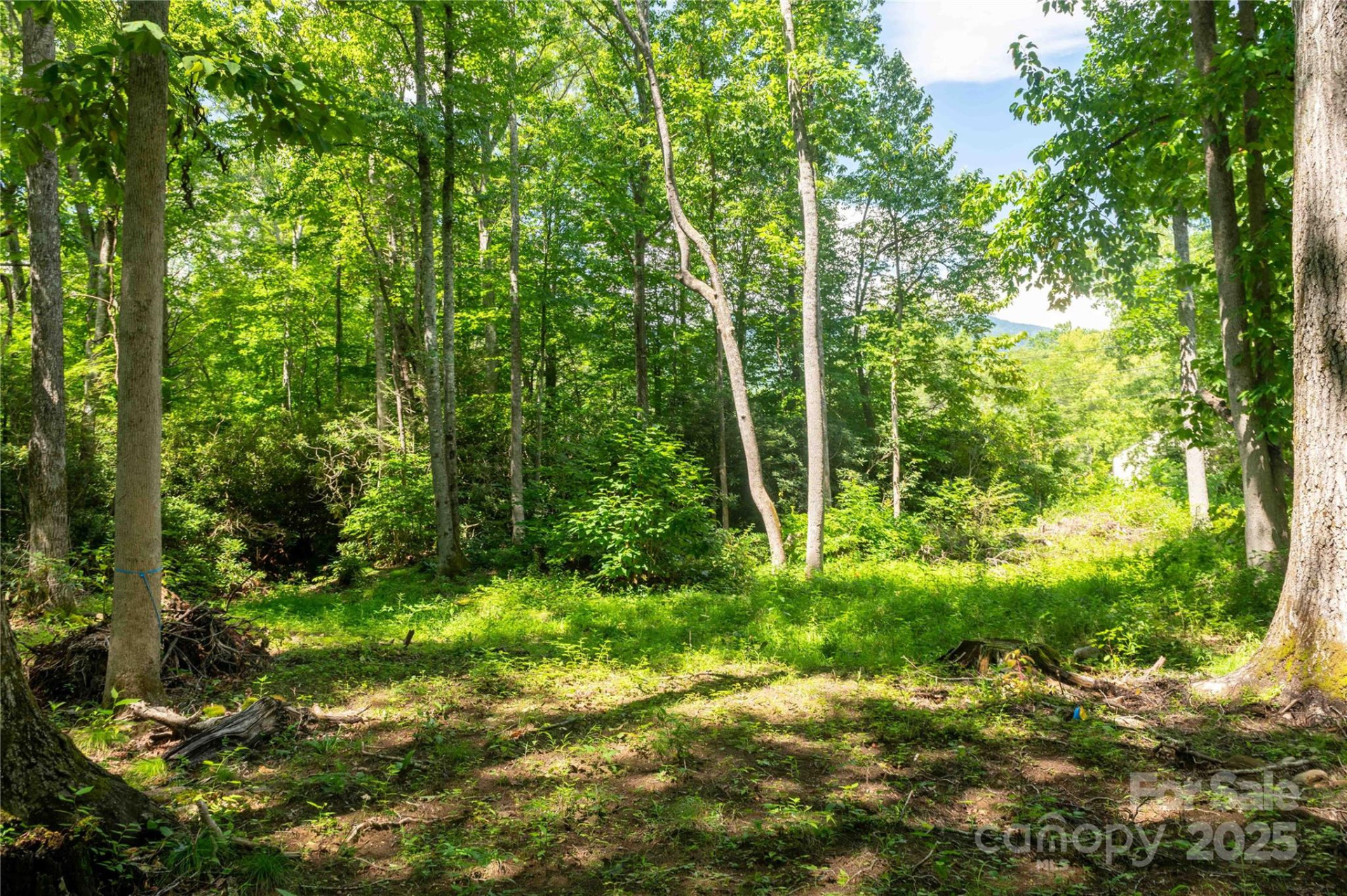 245 White Oak Creek Road - Photo 35