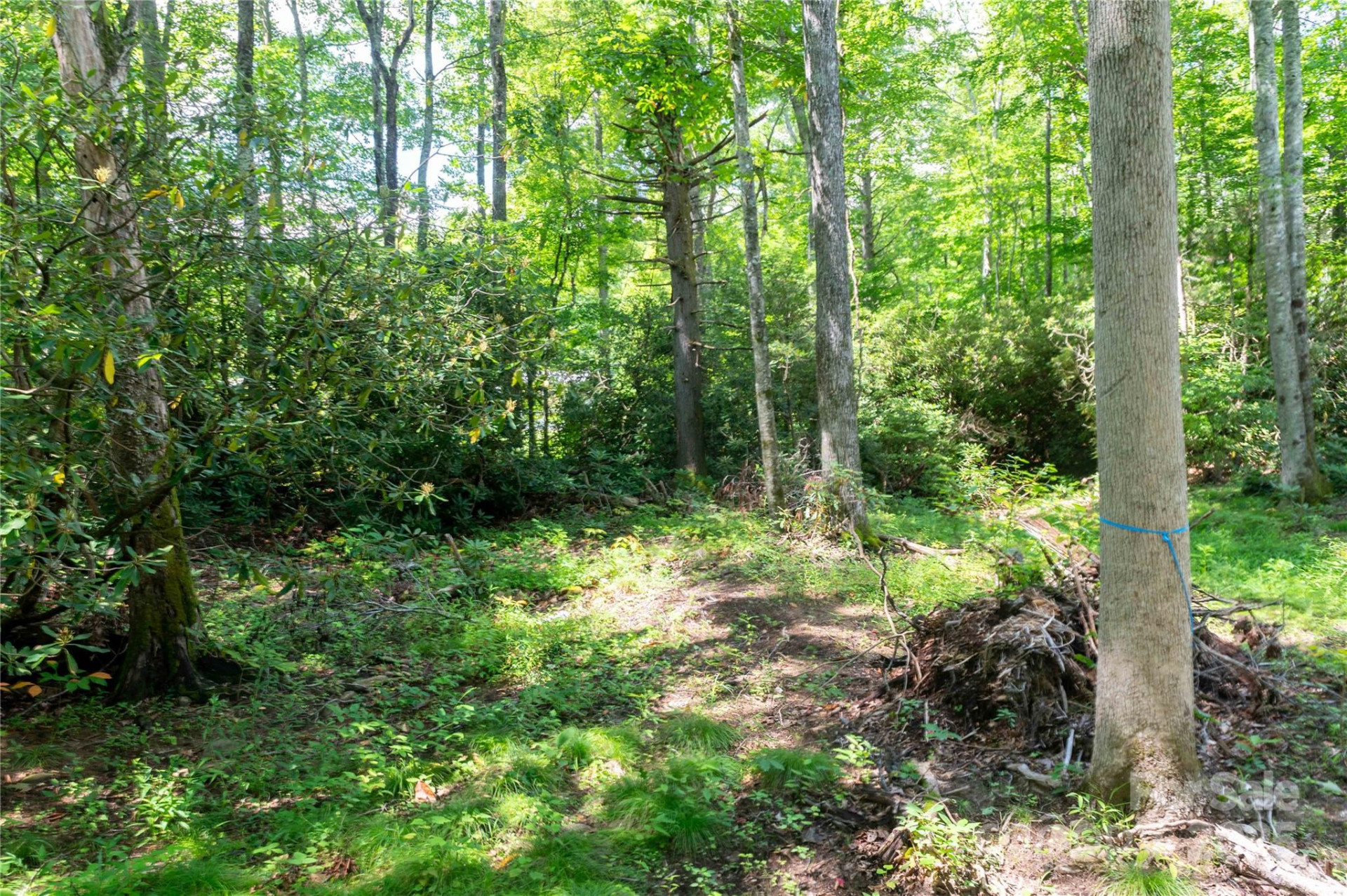 245 White Oak Creek Road - Photo 36