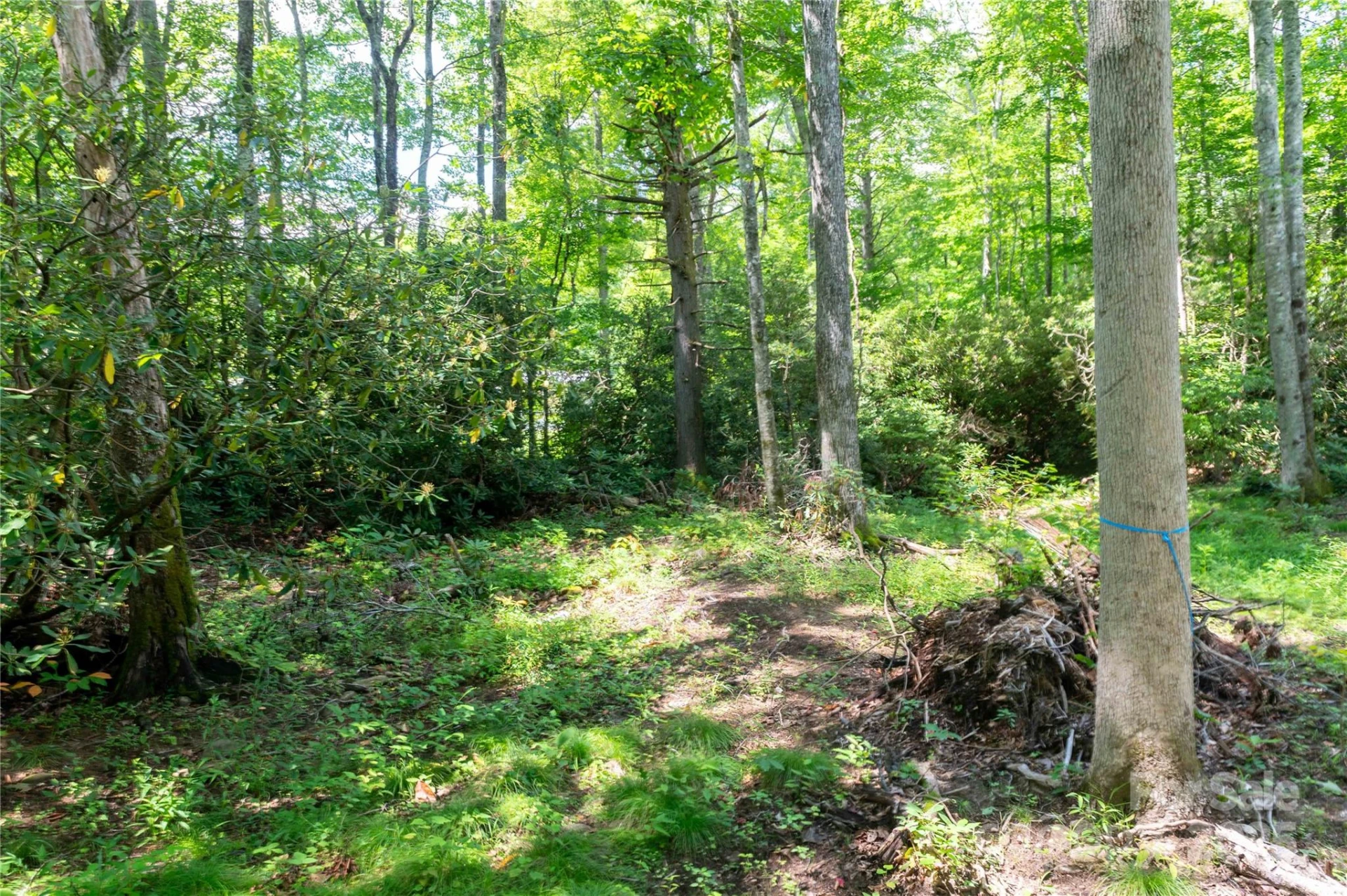 245 White Oak Creek Road - Photo 36