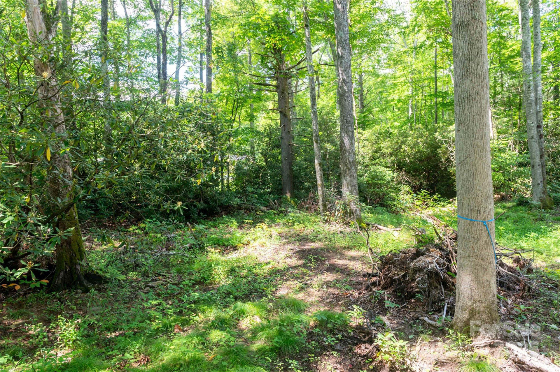 245 White Oak Creek Road - Photo 37