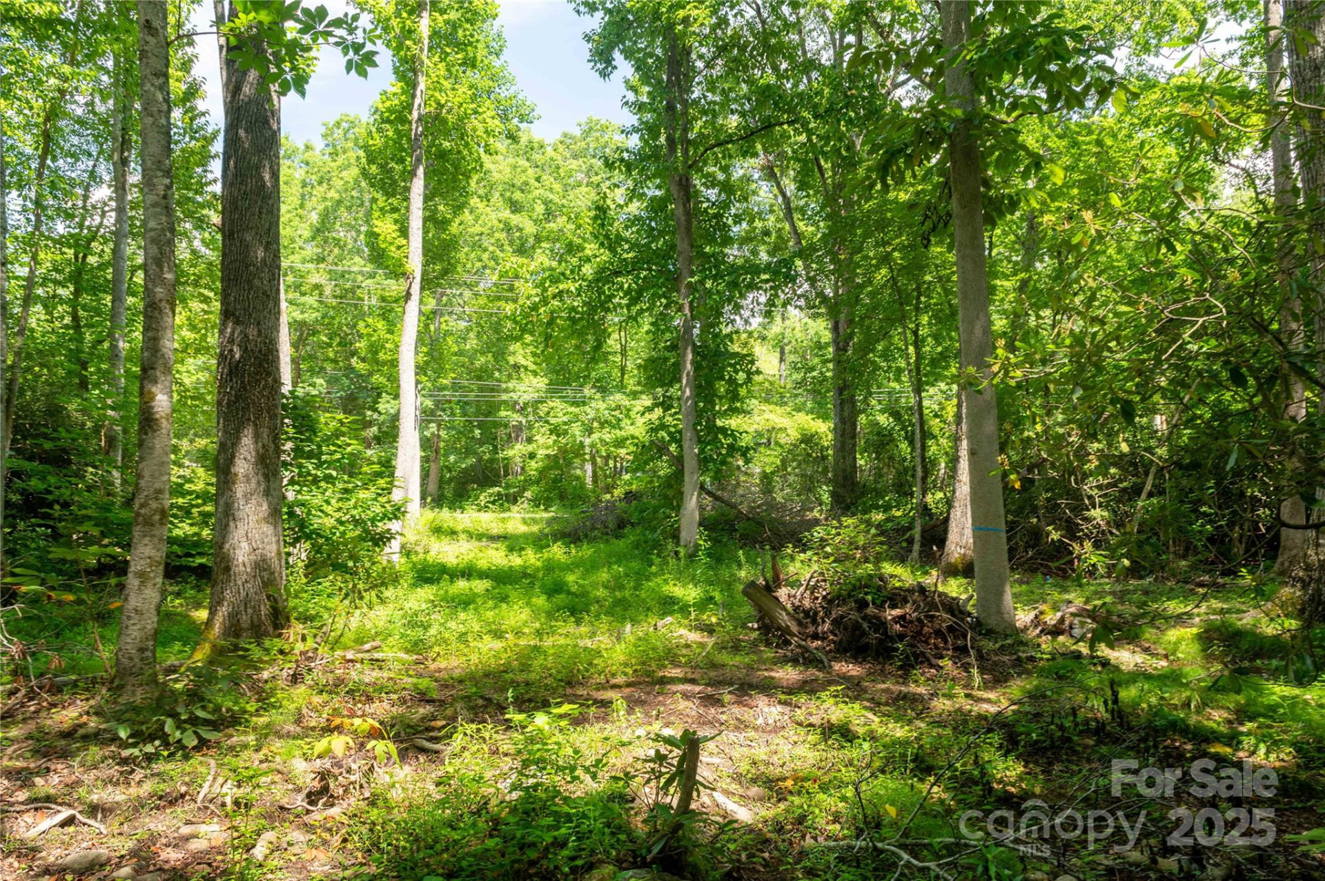 245 White Oak Creek Road - Photo 38