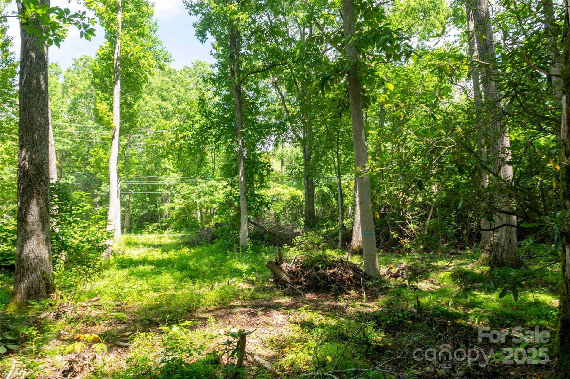 245 White Oak Creek Road - Photo 39