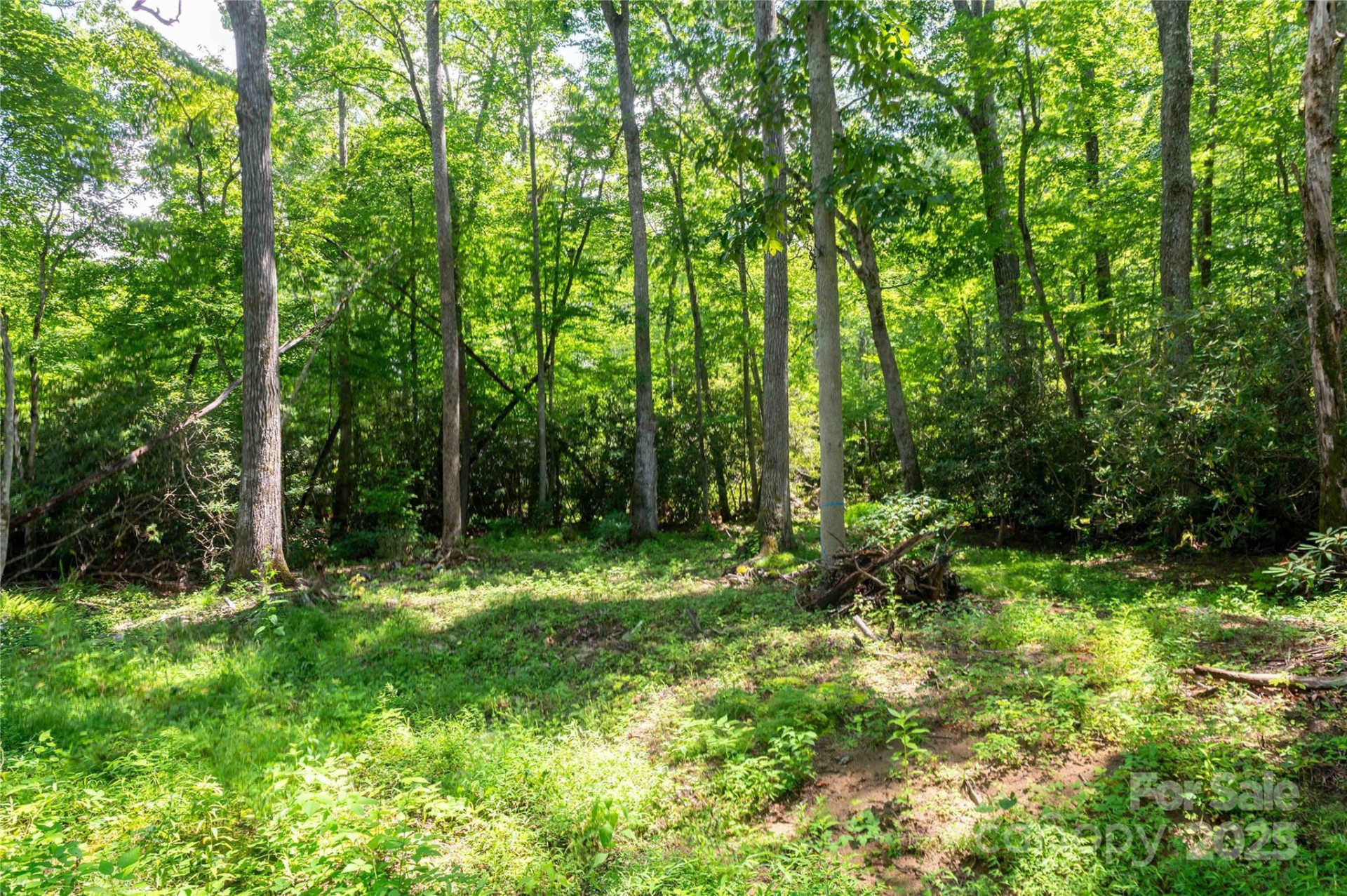 245 White Oak Creek Road - Photo 40