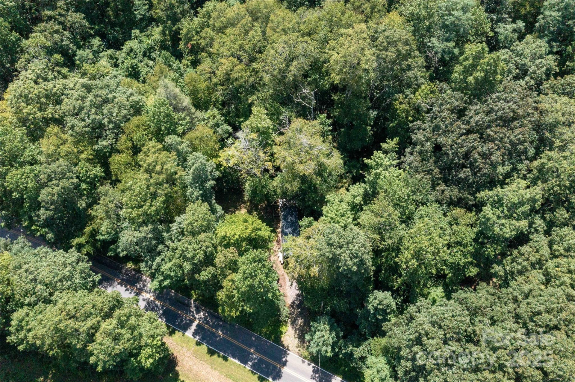 245 White Oak Creek Road - Photo 6