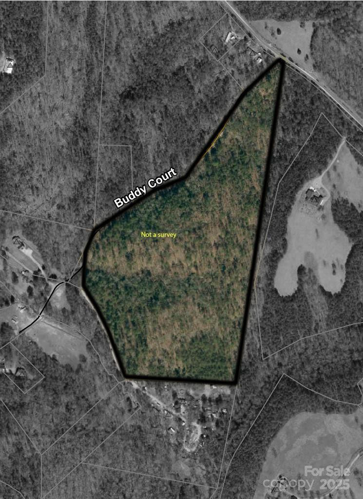 819 Grassy Knob Road - Photo 2