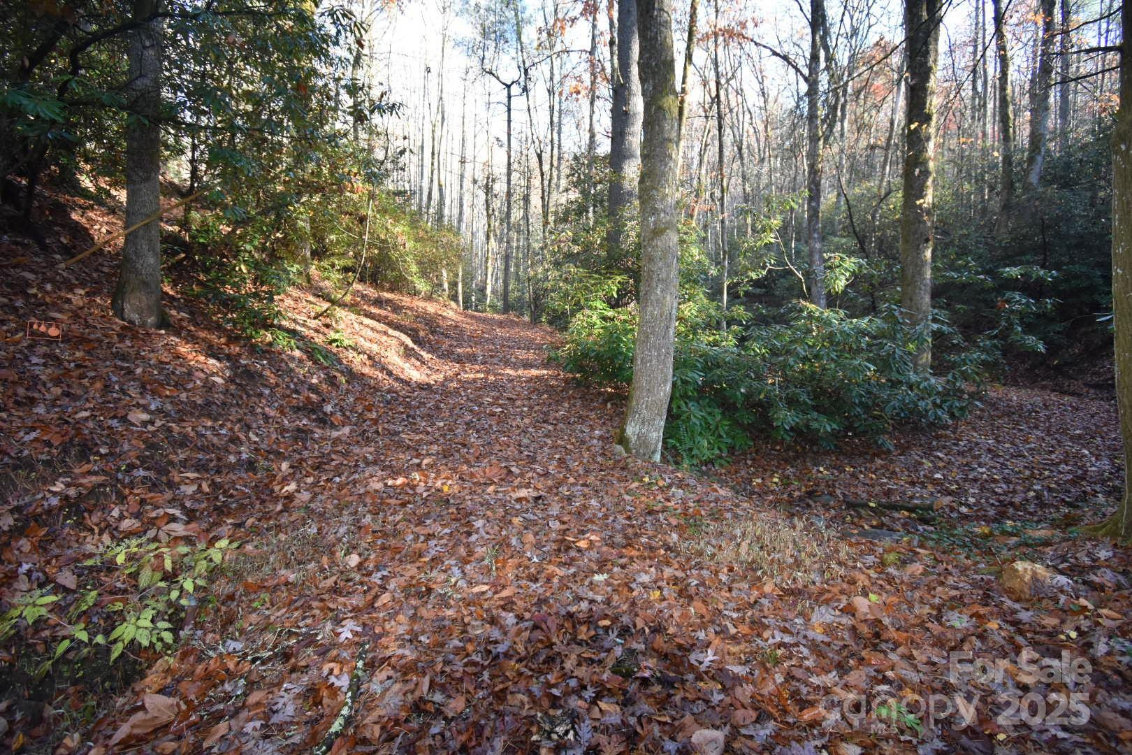 18748 Rosman Highway - Photo 26