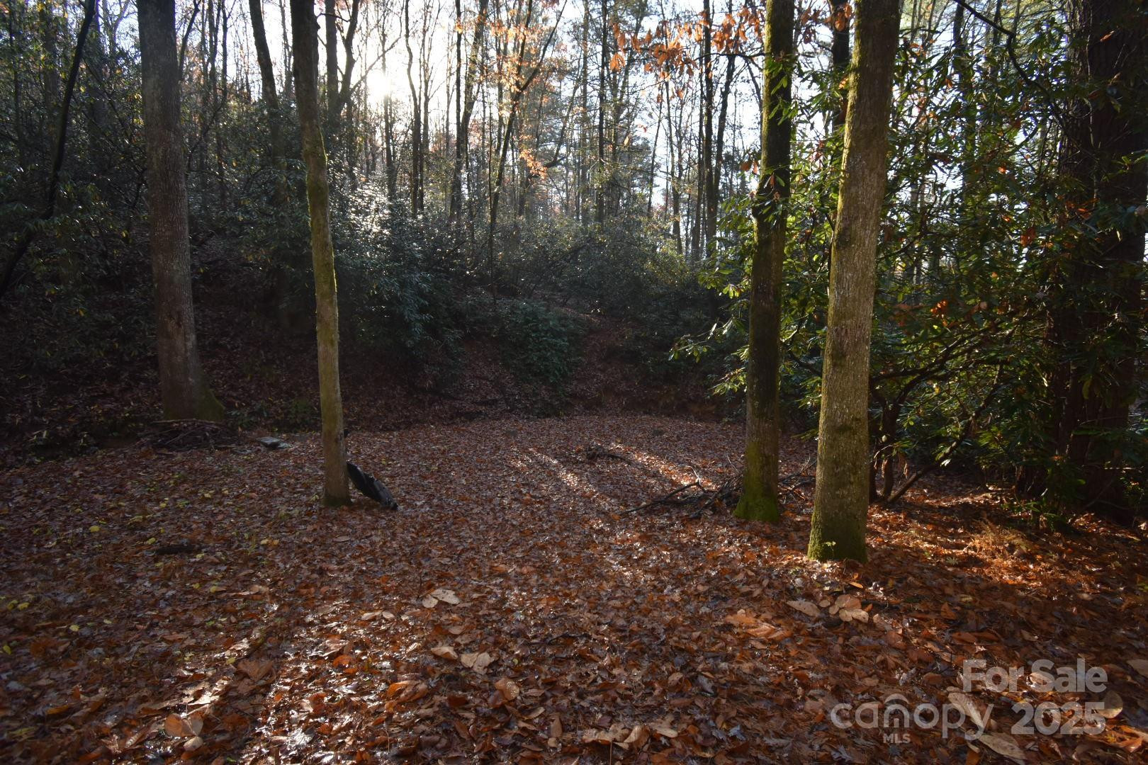 18748 Rosman Highway - Photo 27