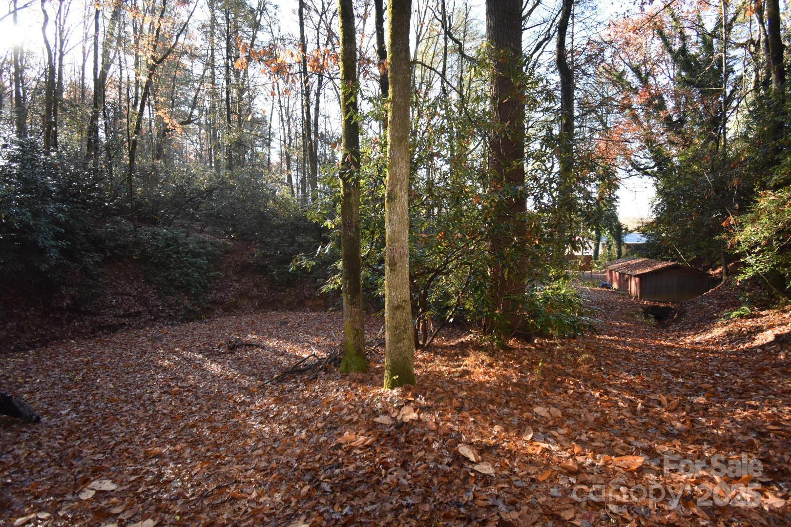 18748 Rosman Highway - Photo 28