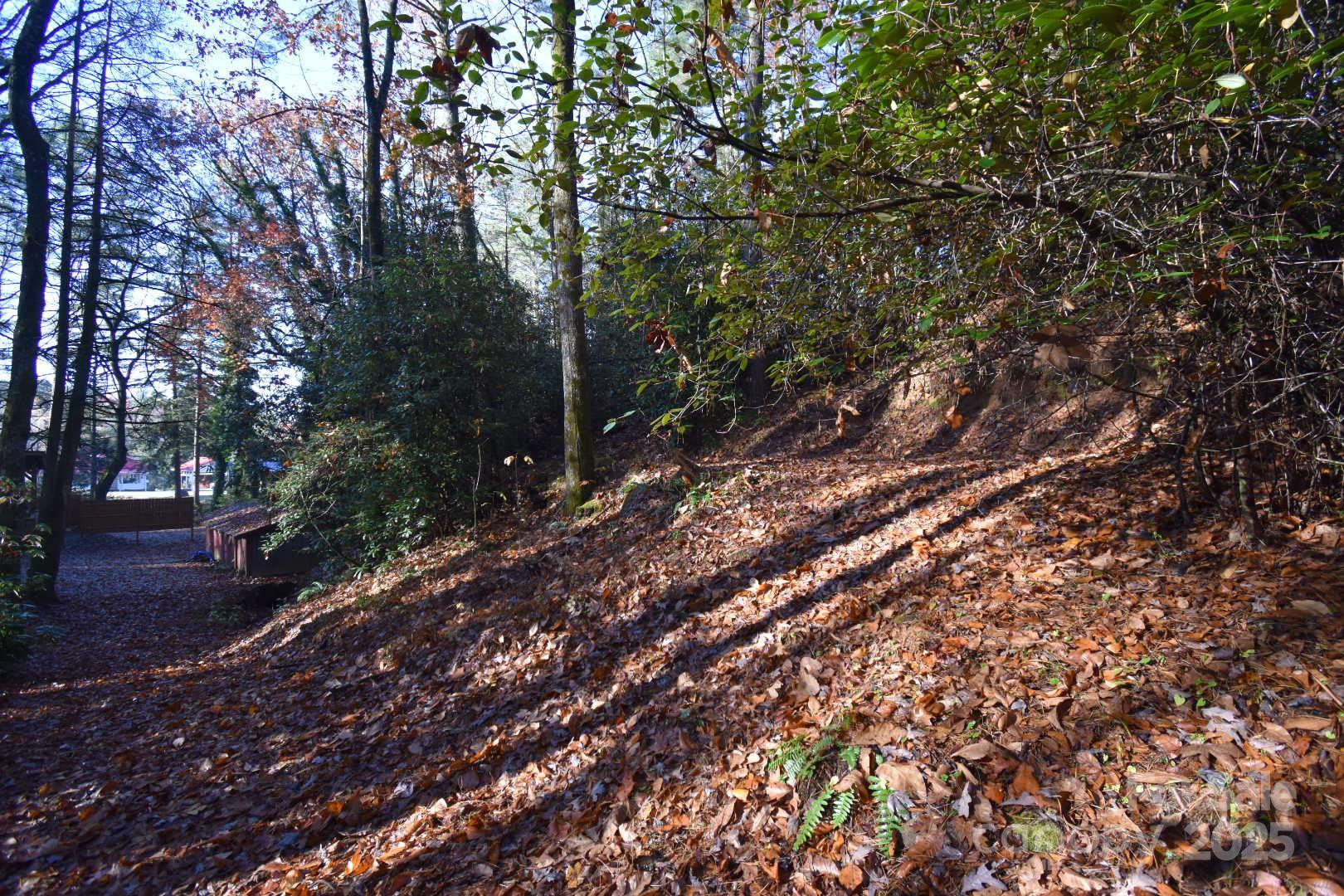 18748 Rosman Highway - Photo 29