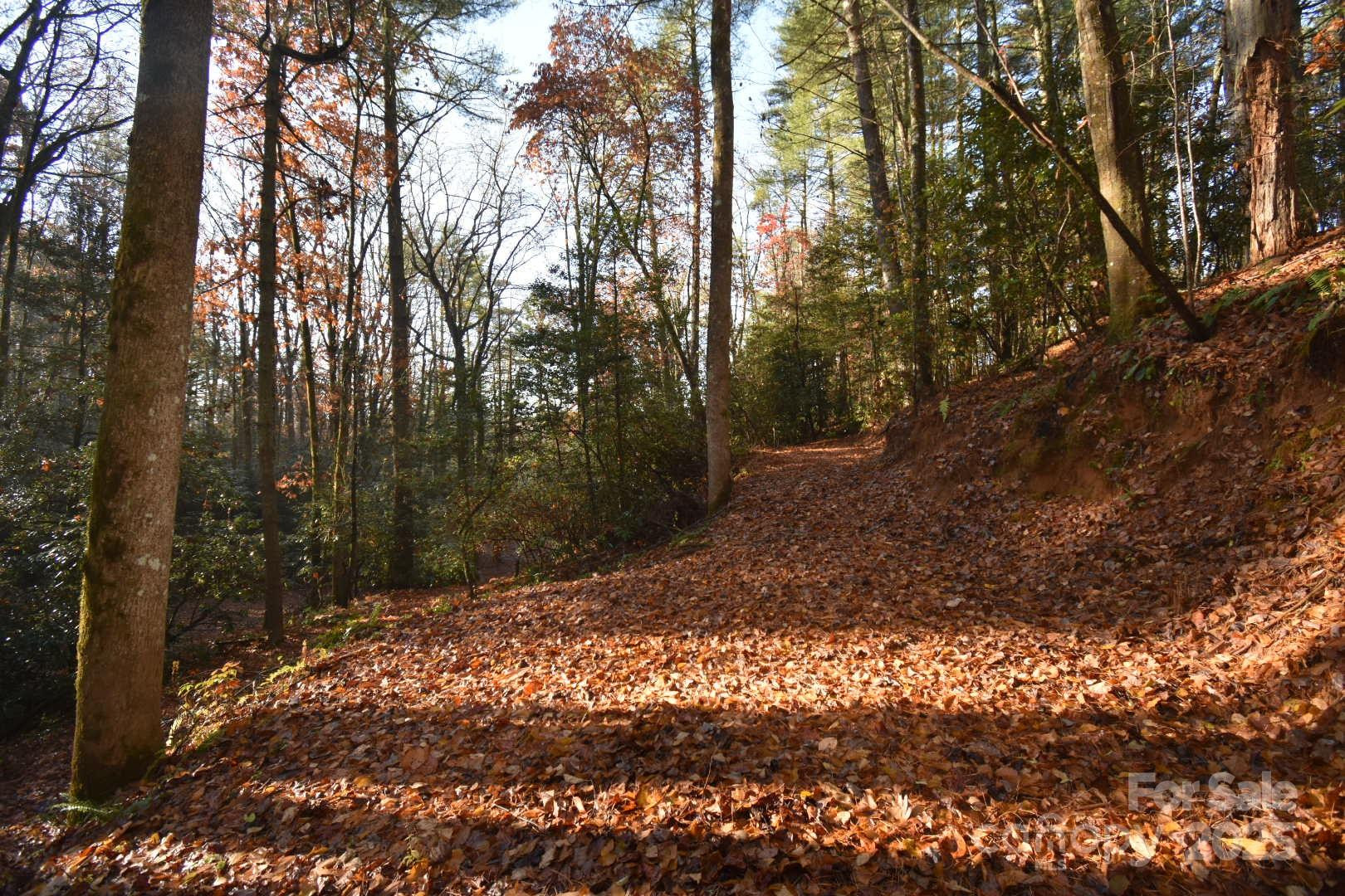 18748 Rosman Highway - Photo 30