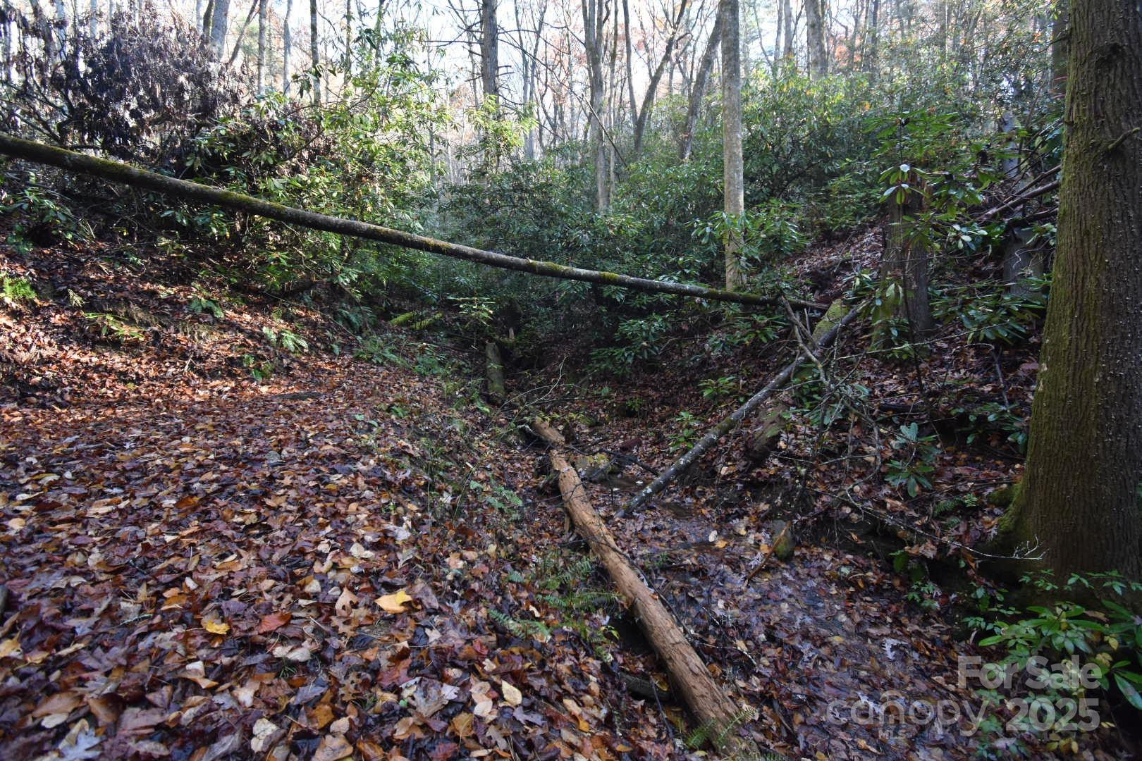 18748 Rosman Highway - Photo 31