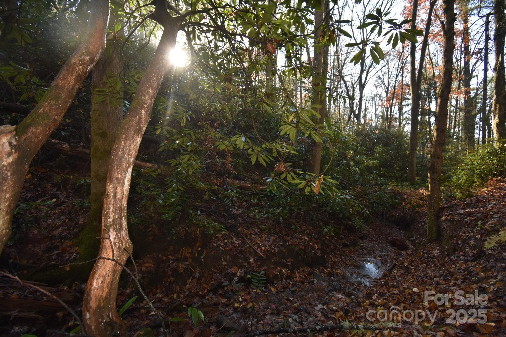 18748 Rosman Highway - Photo 32