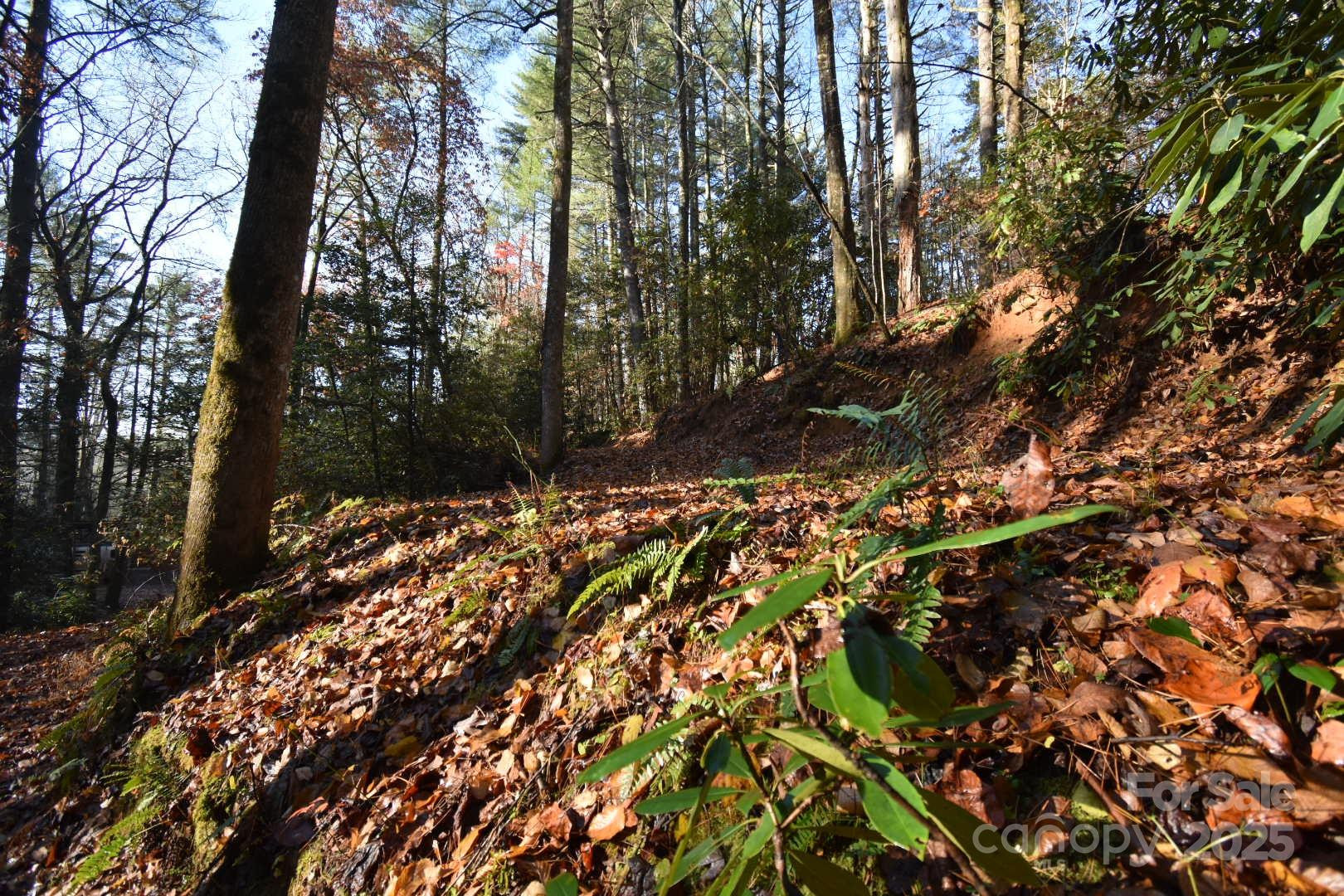 18748 Rosman Highway - Photo 33