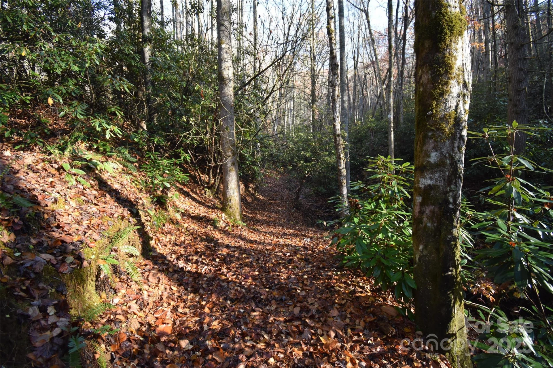 18748 Rosman Highway - Photo 34