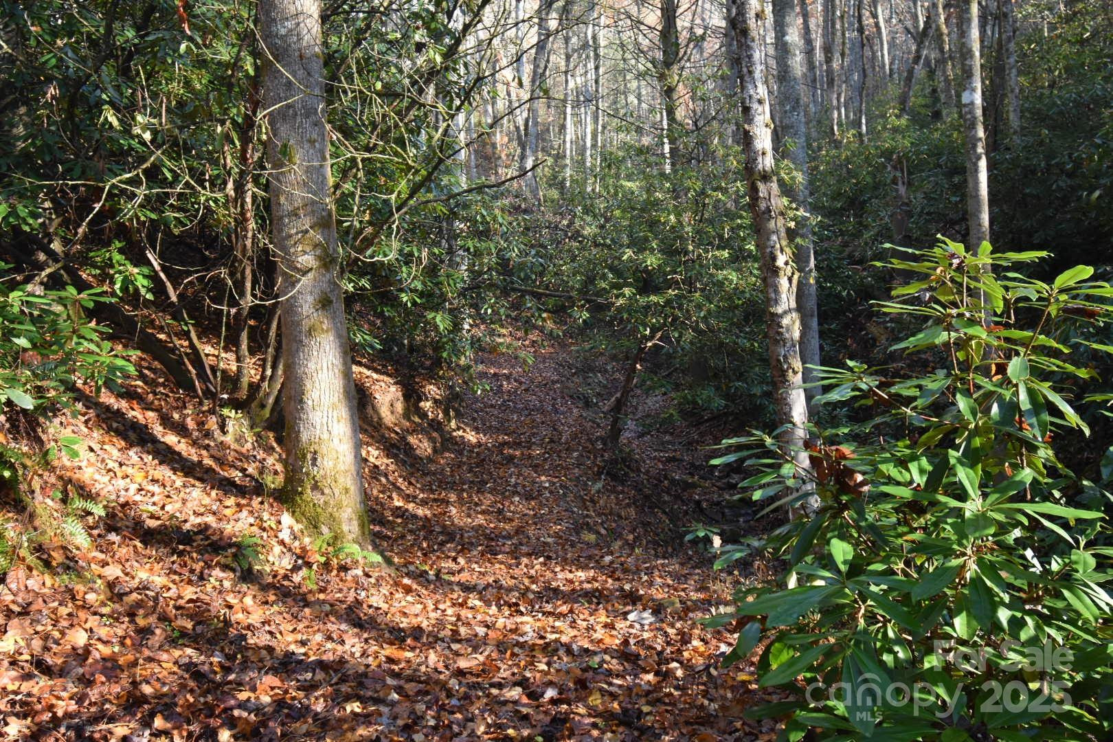 18748 Rosman Highway - Photo 35