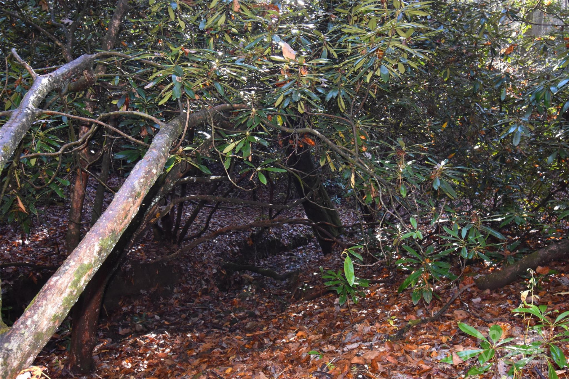 18748 Rosman Highway - Photo 36