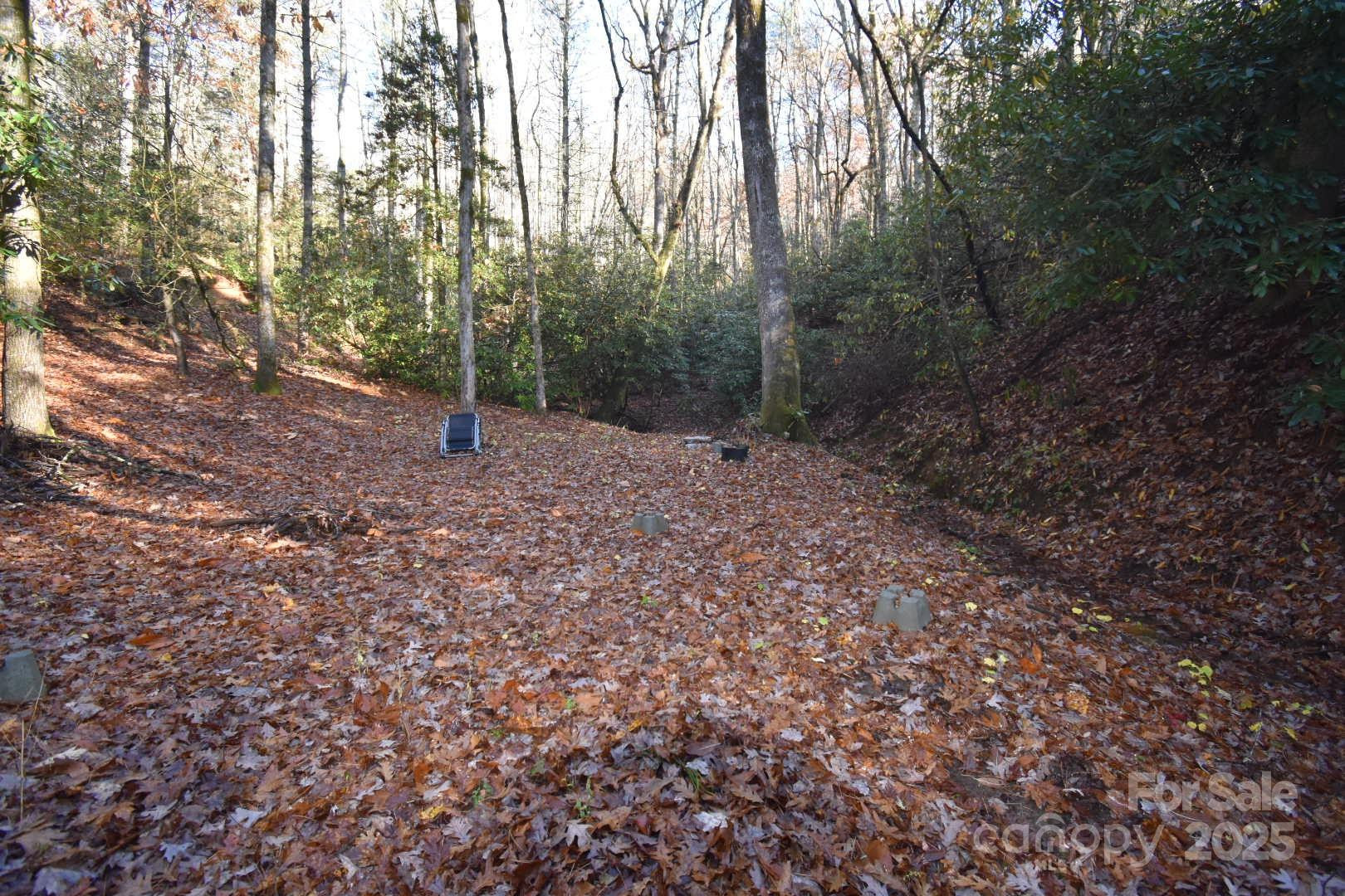 18748 Rosman Highway - Photo 37