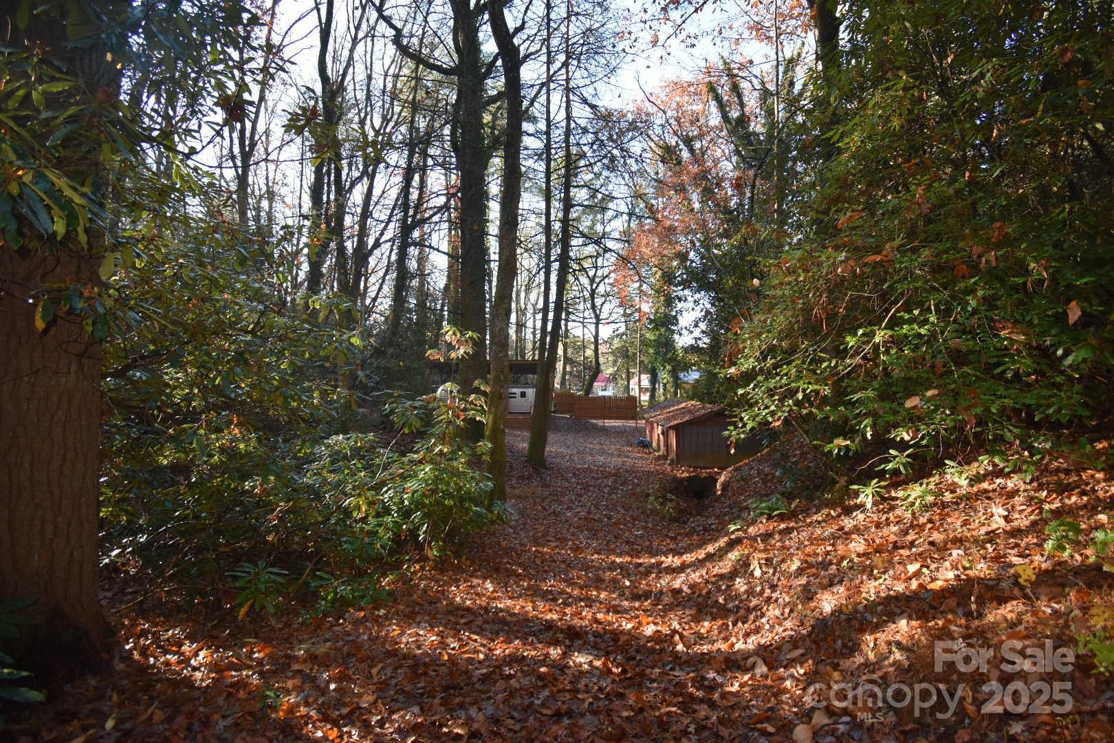 18748 Rosman Highway - Photo 38