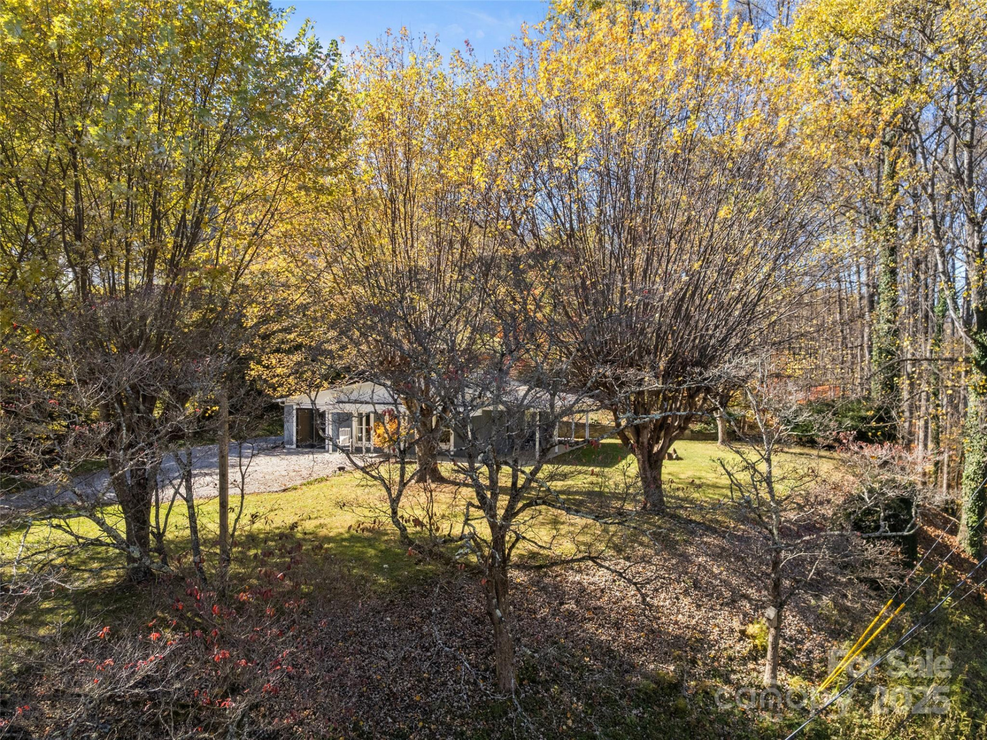 195 Nature Lane - Photo 8
