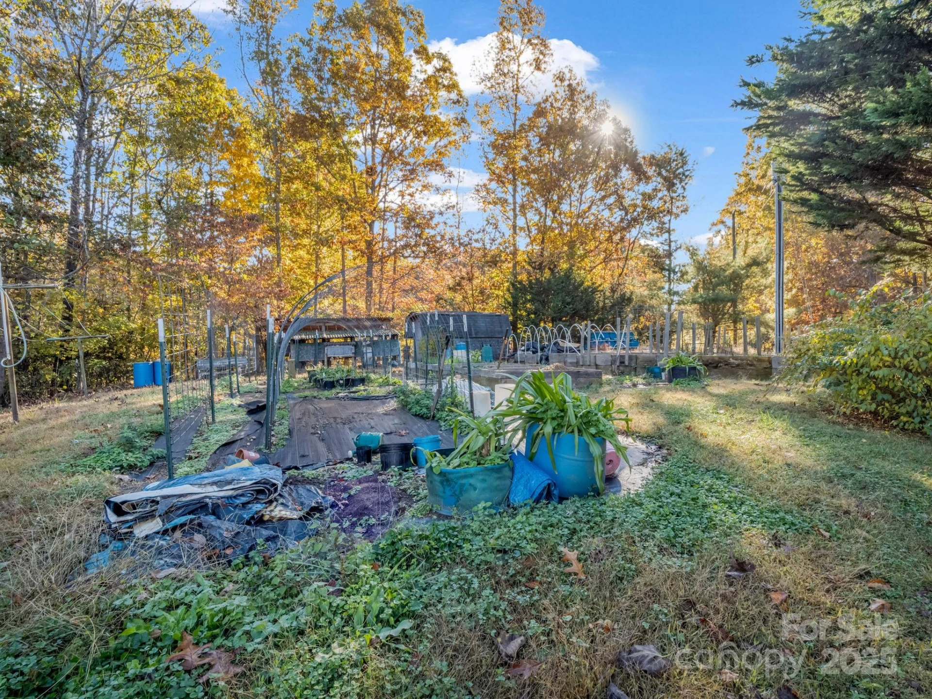 262 Daisy Lane - Photo 33