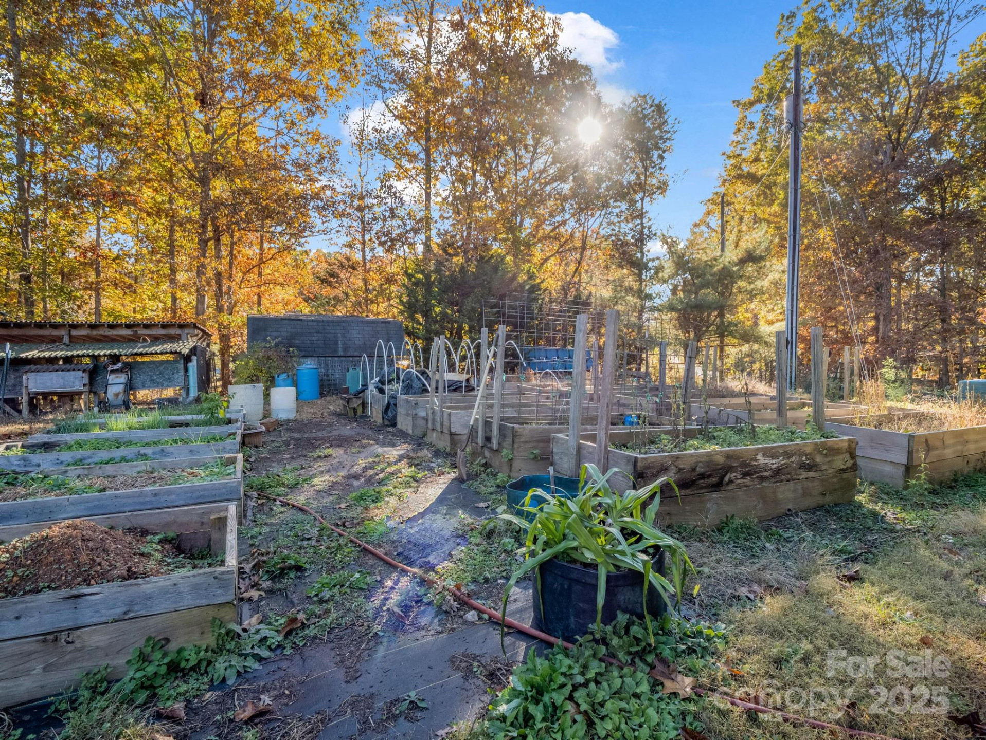 262 Daisy Lane - Photo 34