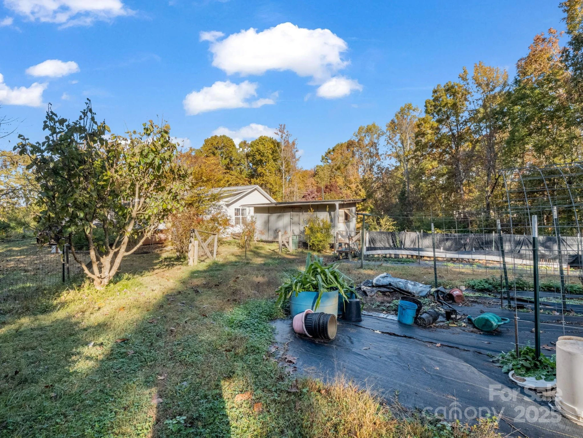 262 Daisy Lane - Photo 35