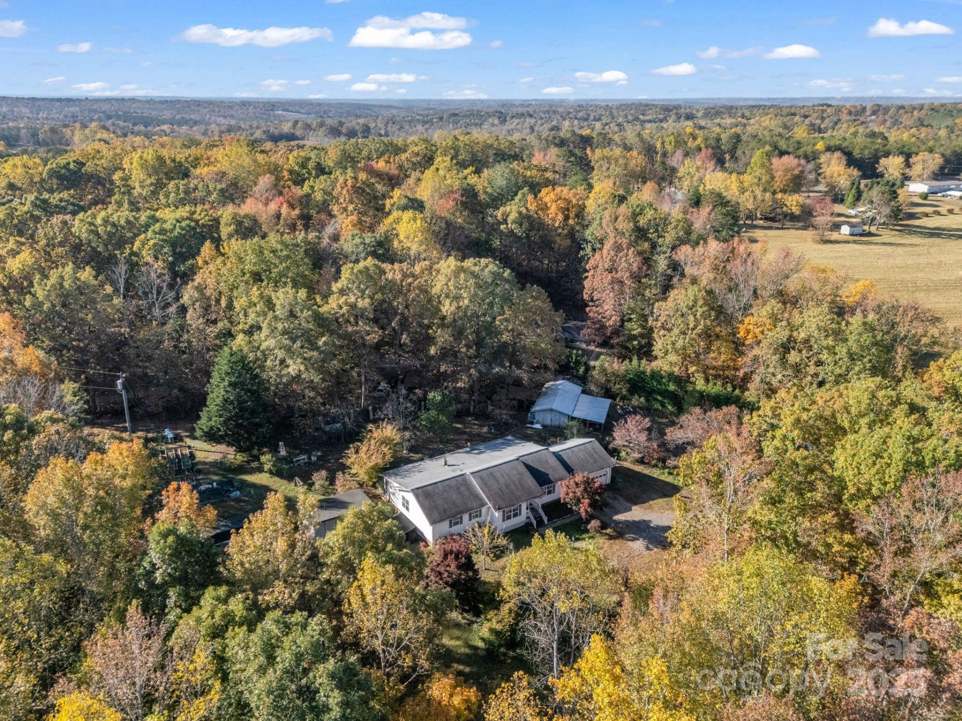 262 Daisy Lane - Photo 40