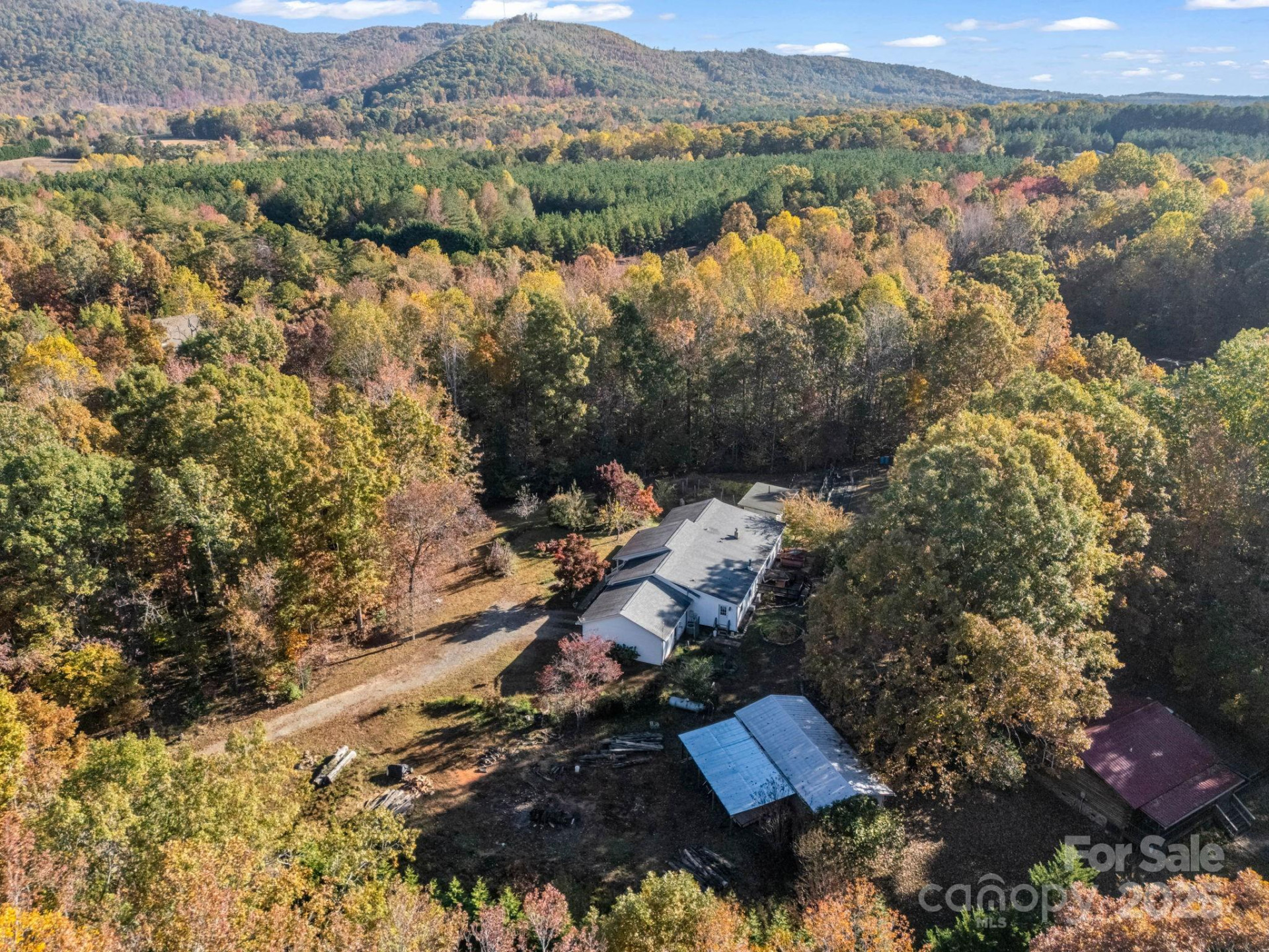 262 Daisy Lane - Photo 41