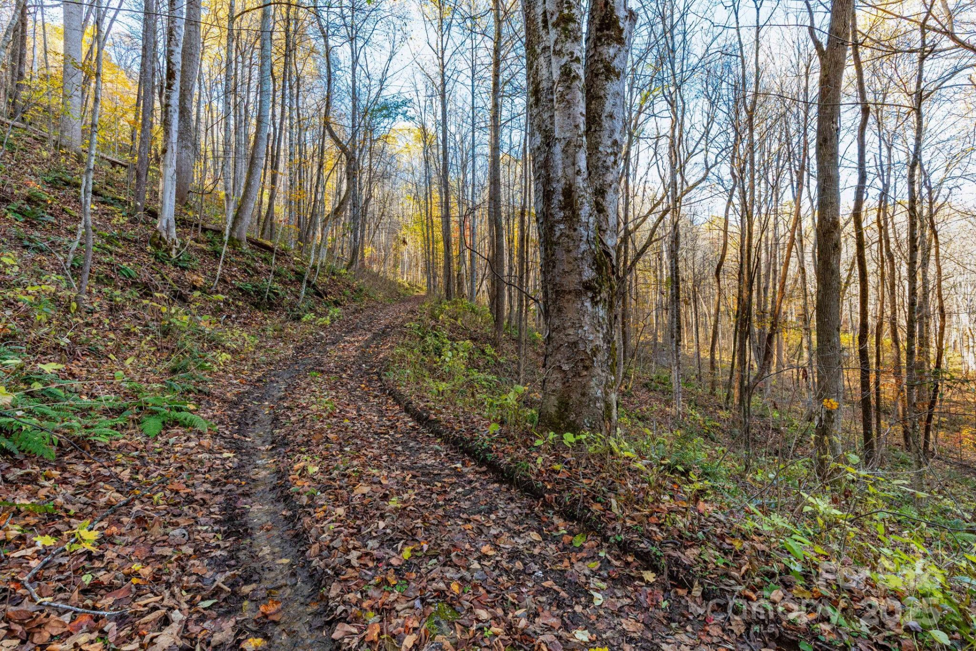 TBD Appaloosa Trail - Photo 11