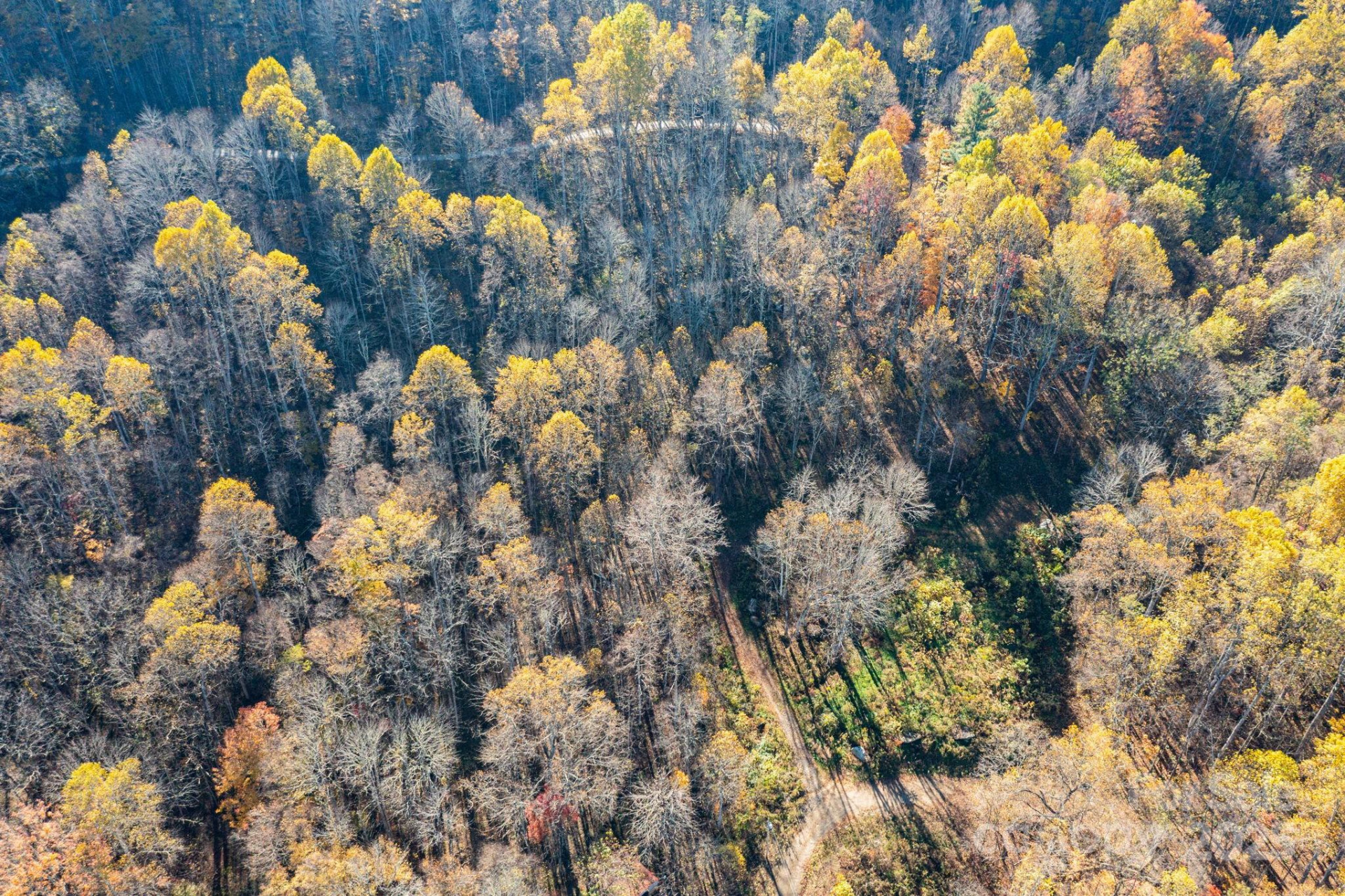 TBD Appaloosa Trail - Photo 16