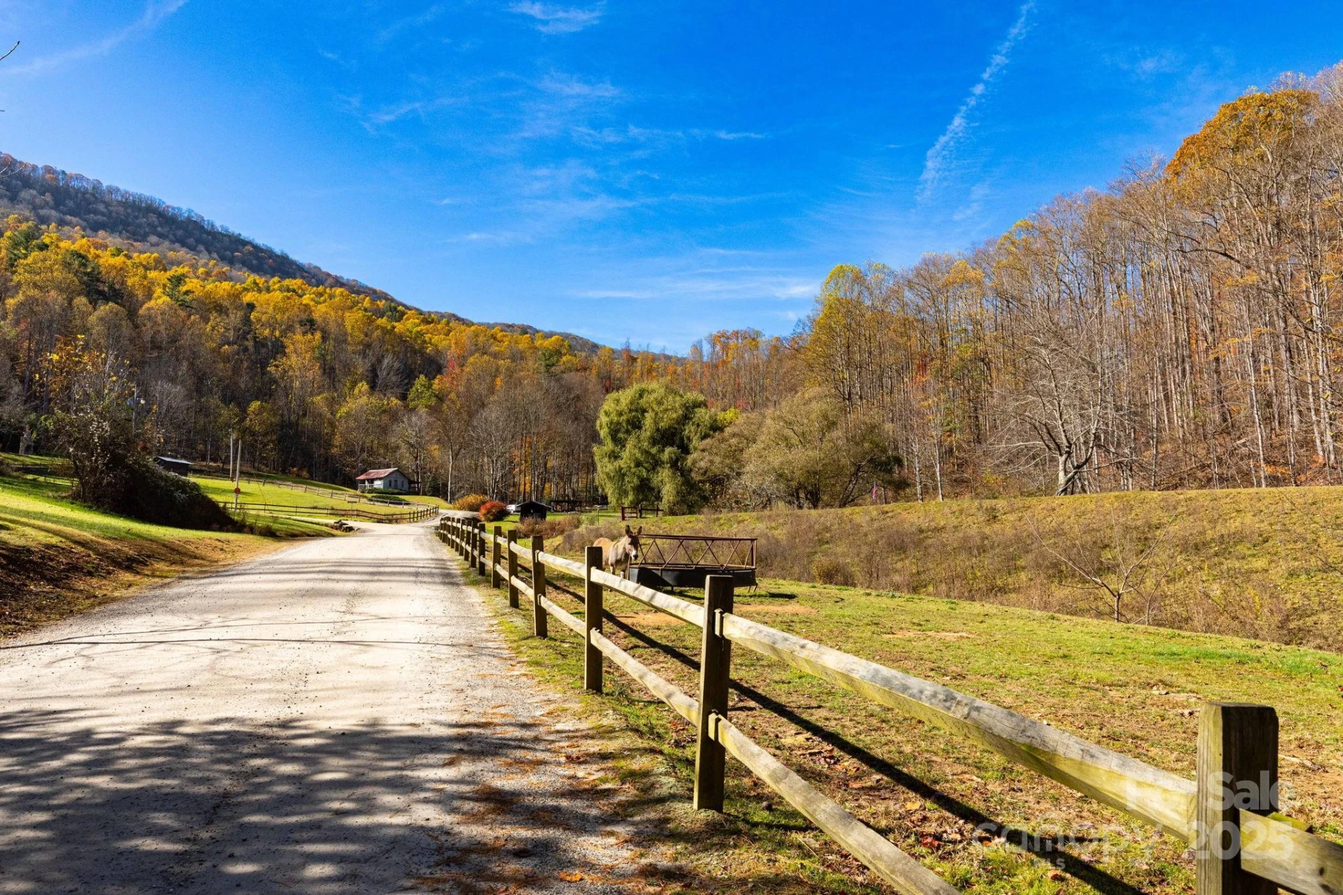 TBD Appaloosa Trail - Photo 3