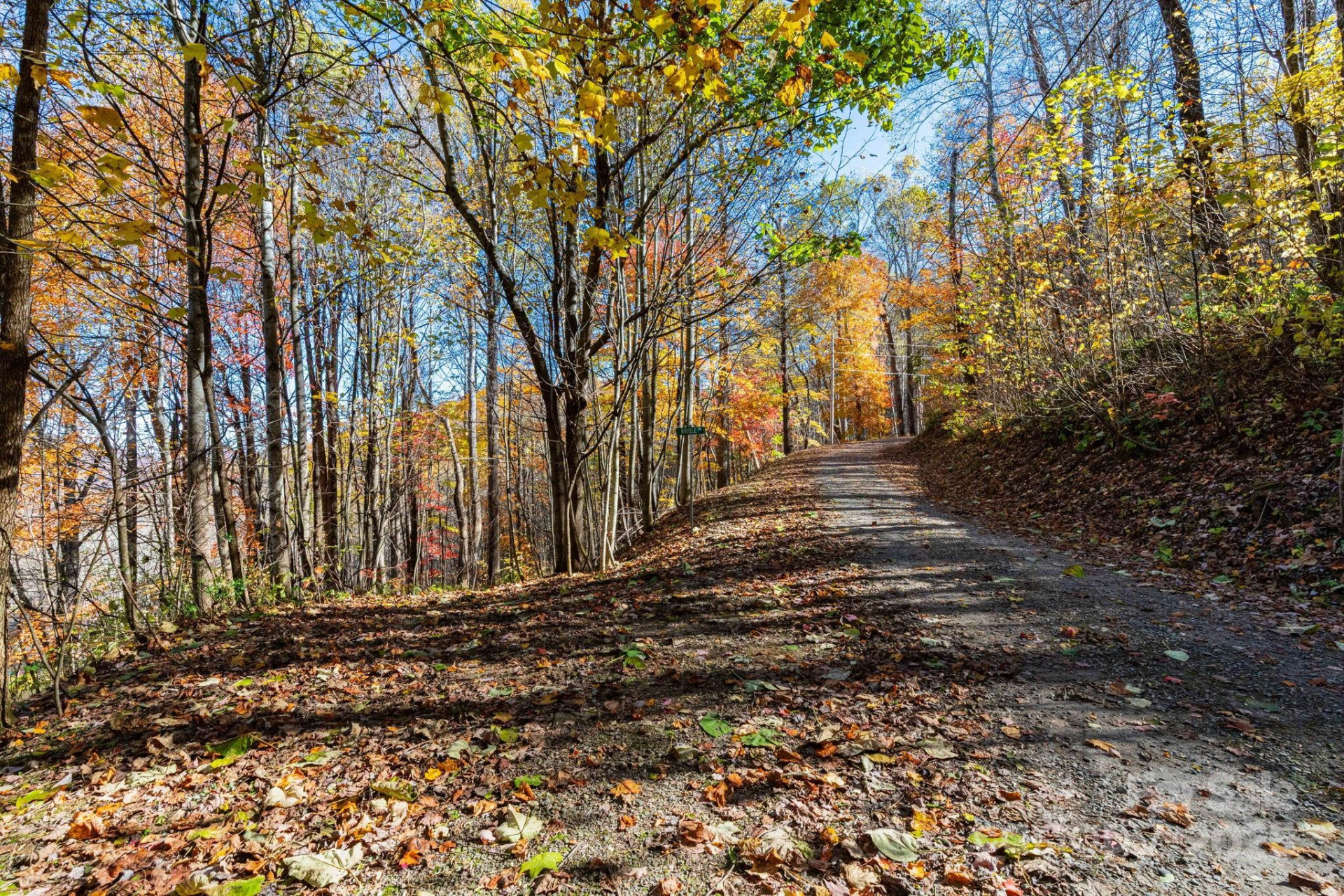 TBD Appaloosa Trail - Photo 4