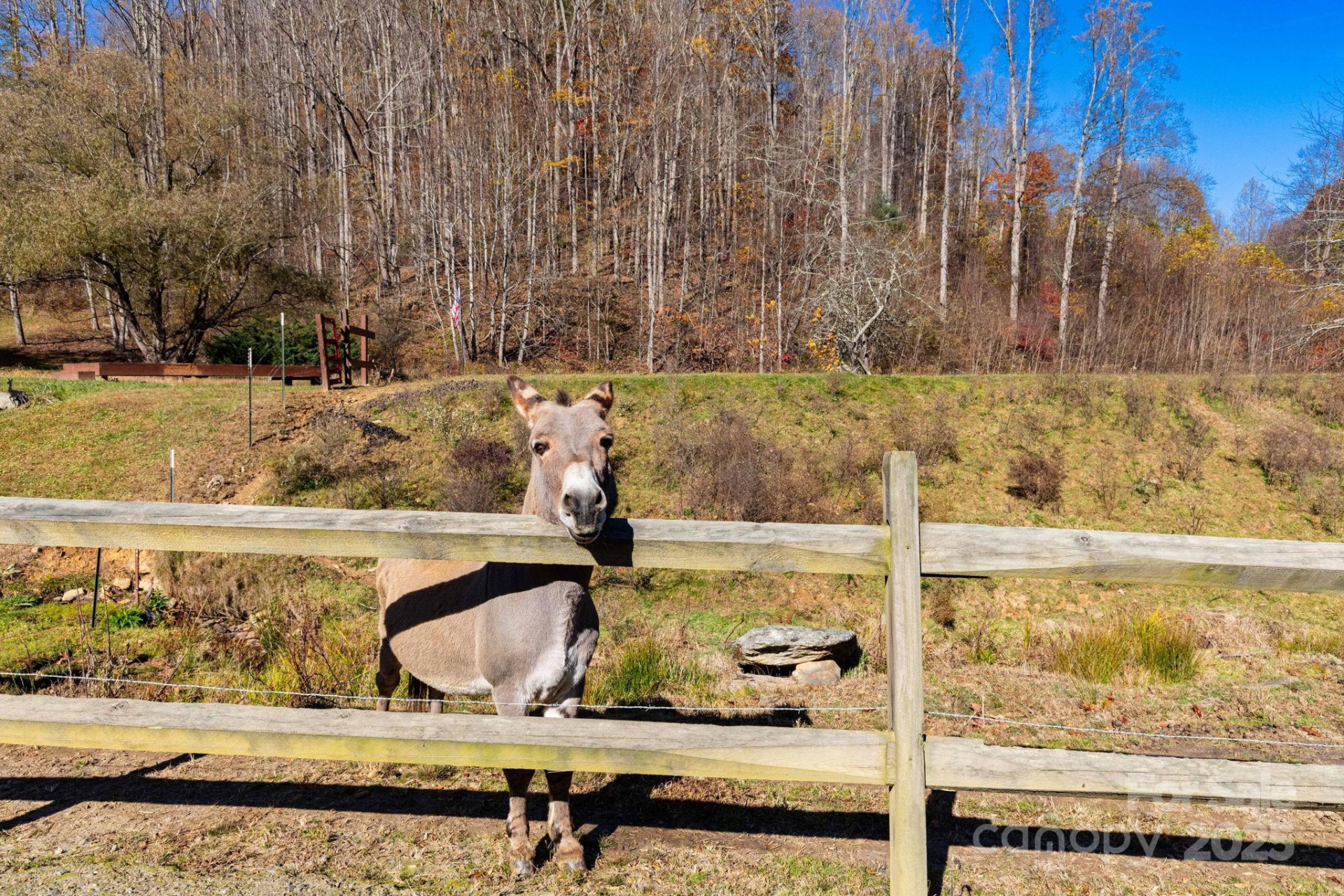 TBD Appaloosa Trail - Photo 5