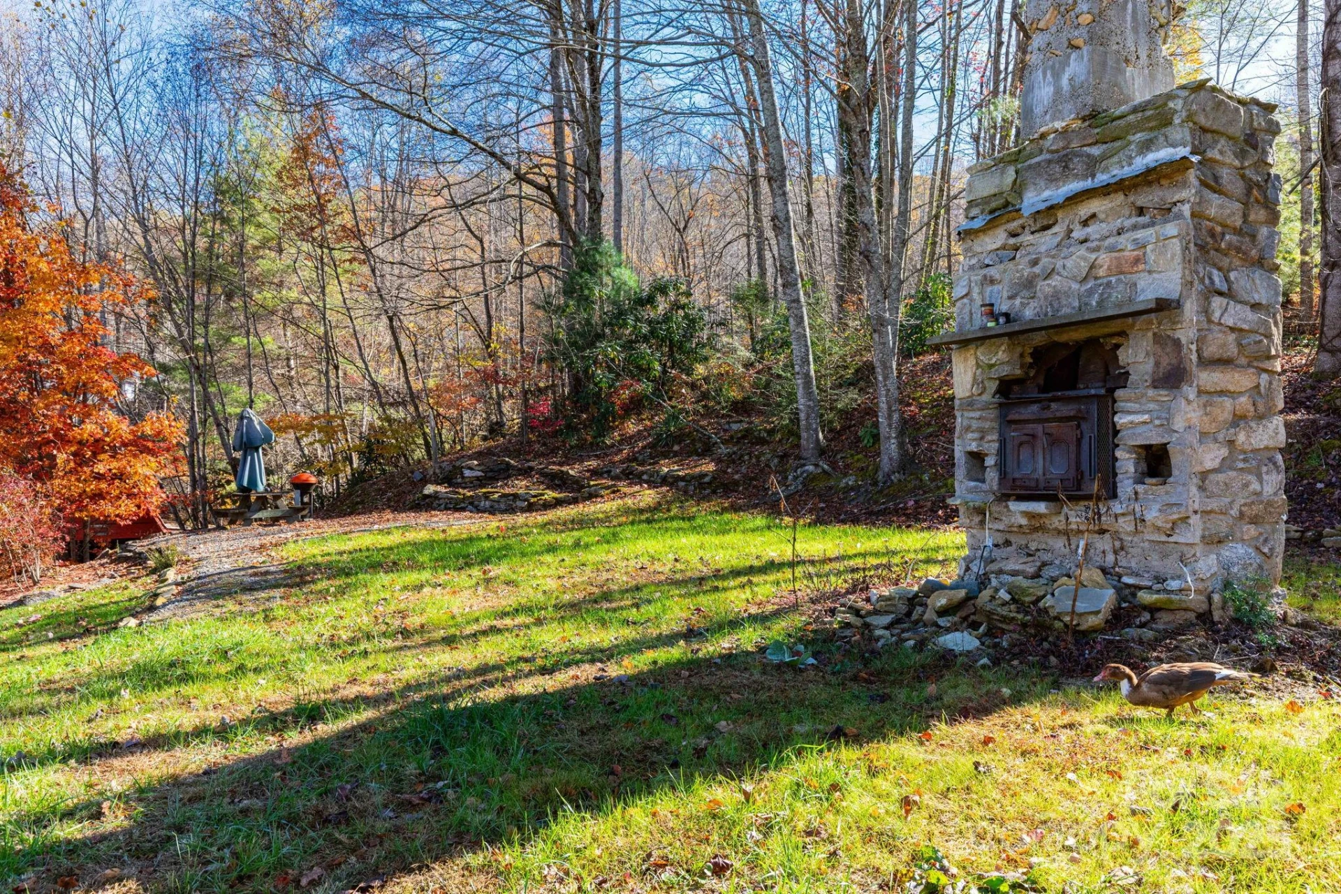 TBD Appaloosa Trail - Photo 8
