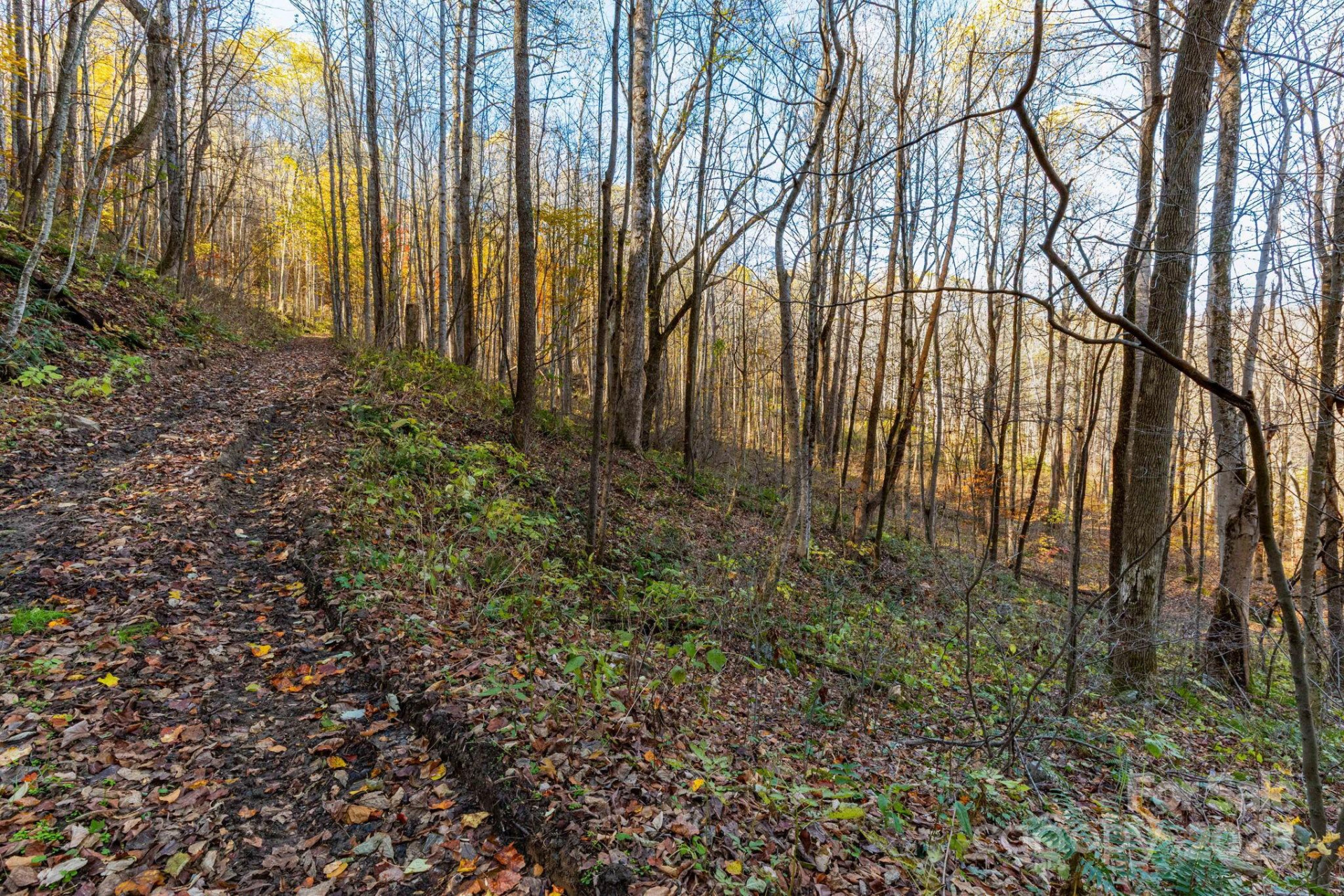 TBD Appaloosa Trail - Photo 10