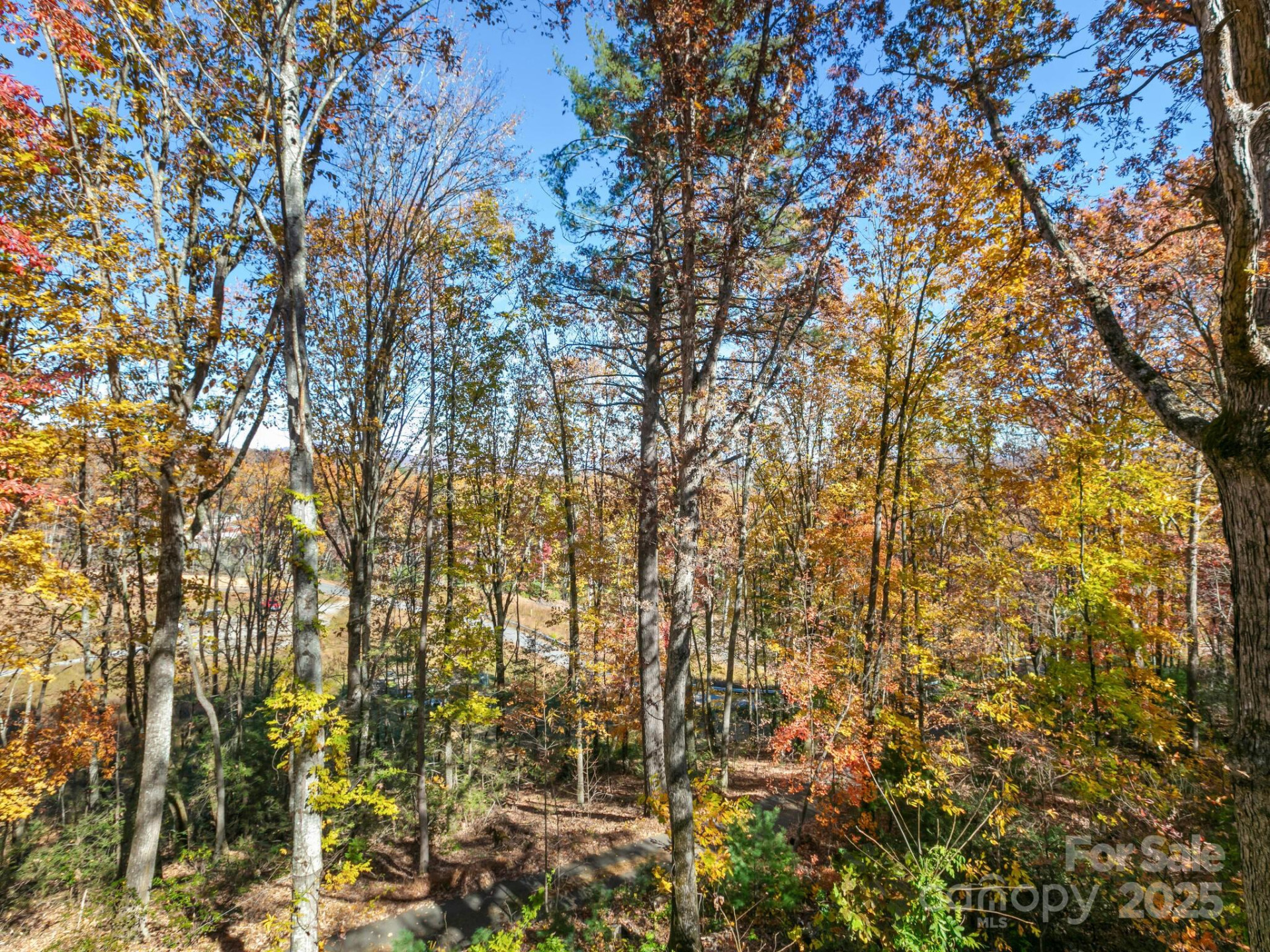 39 Little Piney Mountain Road - Photo 32
