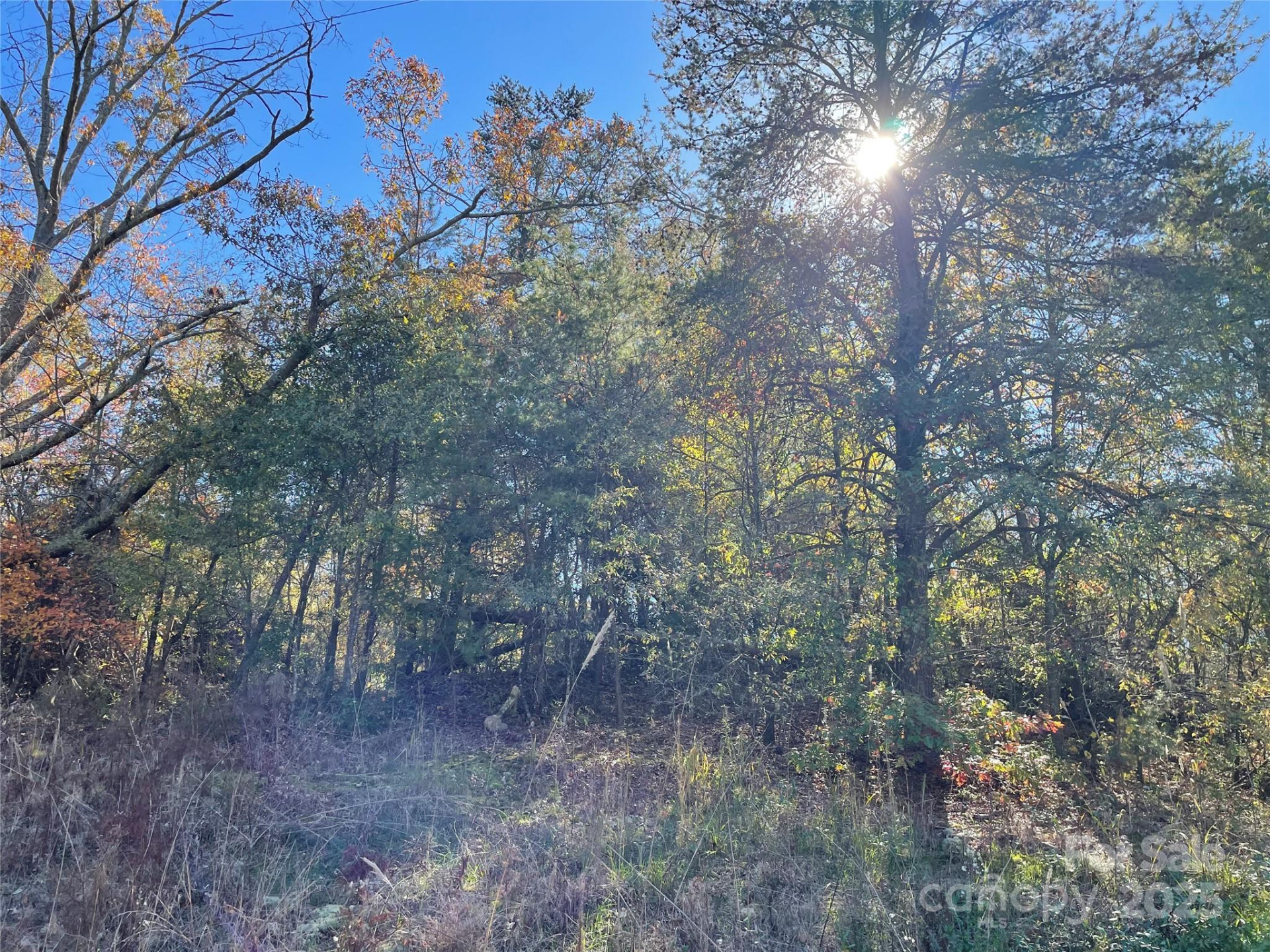 0 Green Acres Road - Photo 2