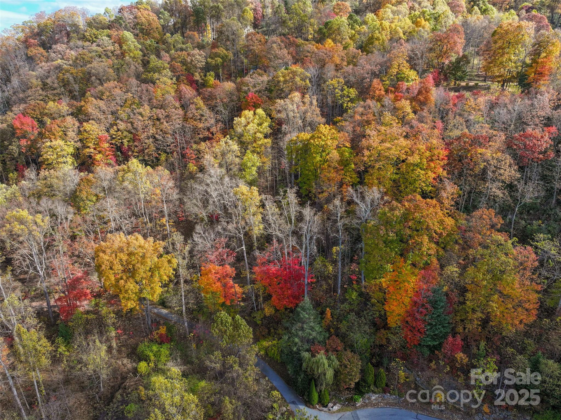 00 Sanctuary Drive - Photo 6