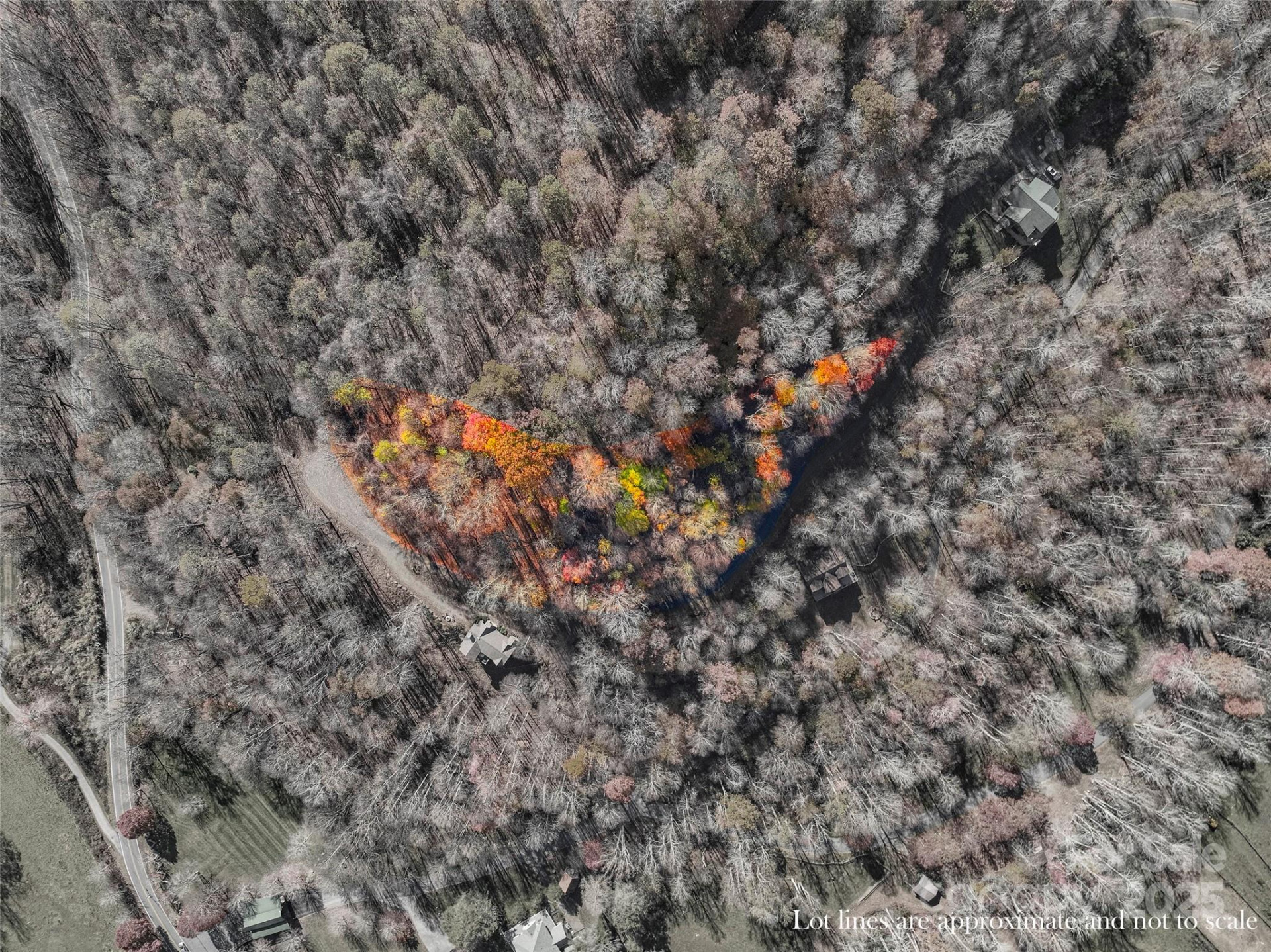 000 Pearl Way #12 - Photo 8