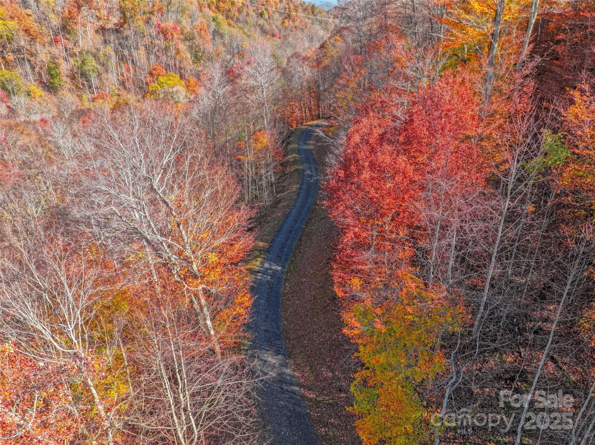 000 Pearl Way #12 - Photo 9