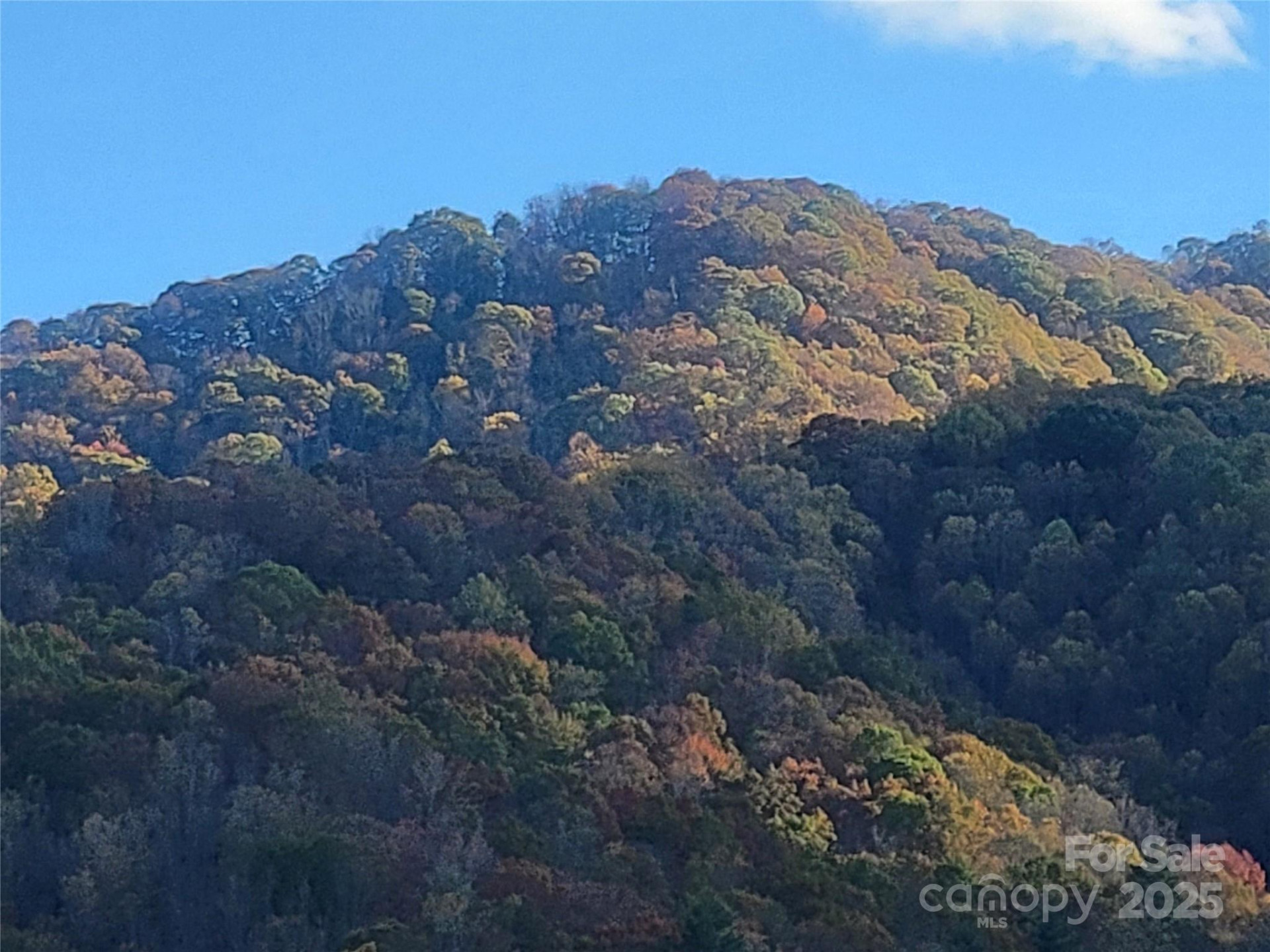 00 Kirkpatrick Cove - Photo 2
