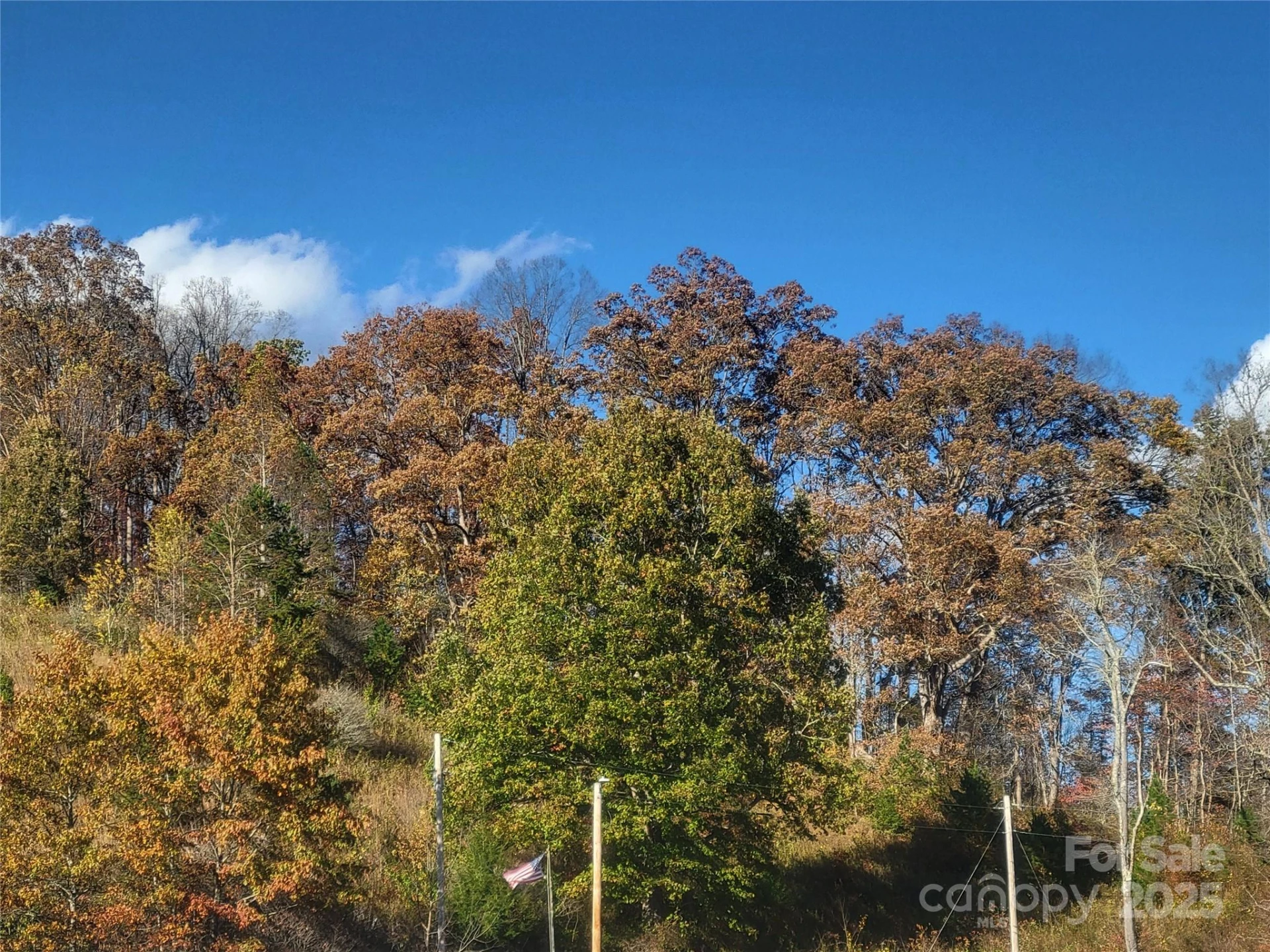 00 Kirkpatrick Cove - Photo 11